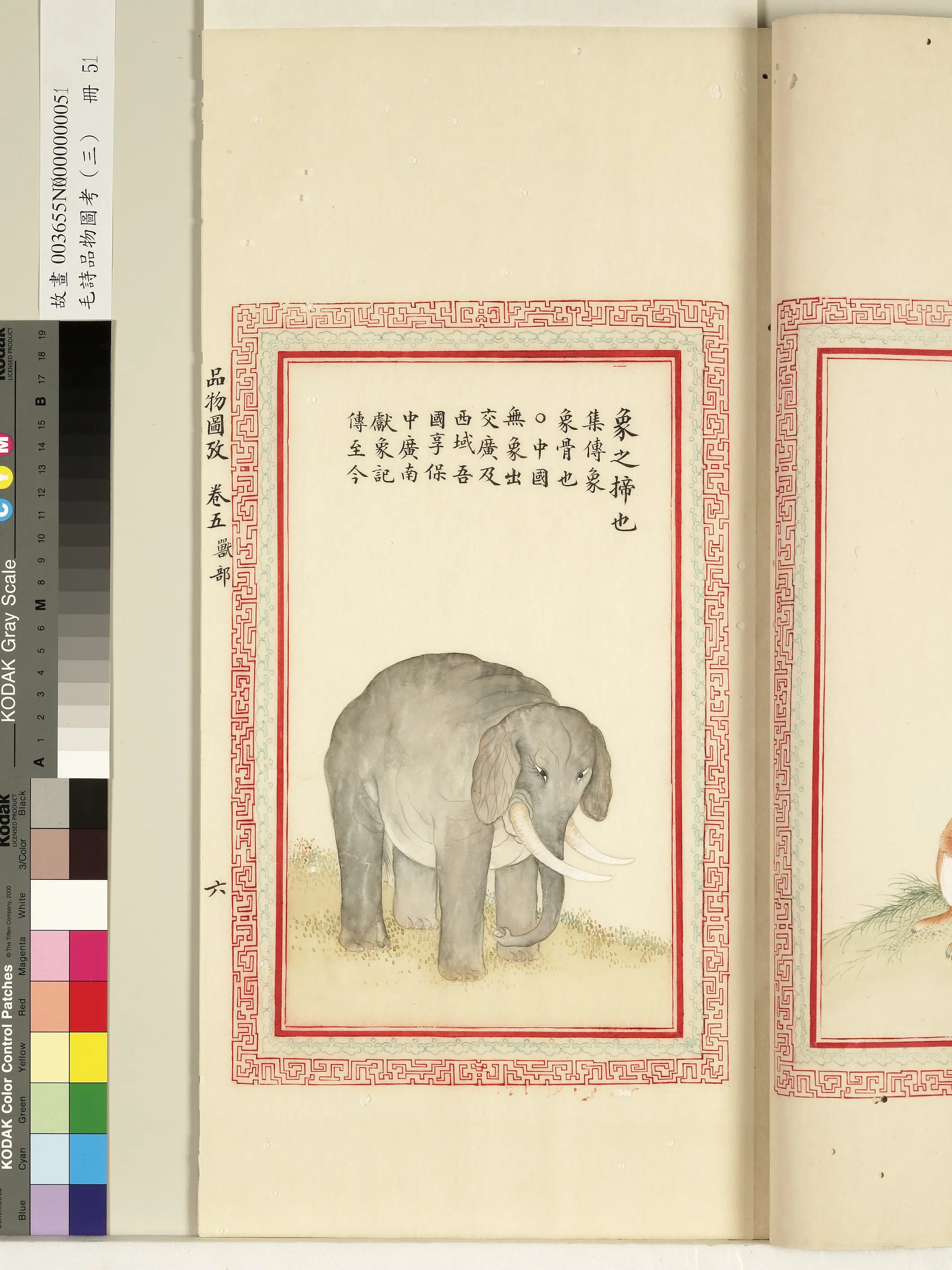 清代《毛诗品物图考(三)册-1》 第46张 清代《毛诗品物图考(三)册-1》 第46张