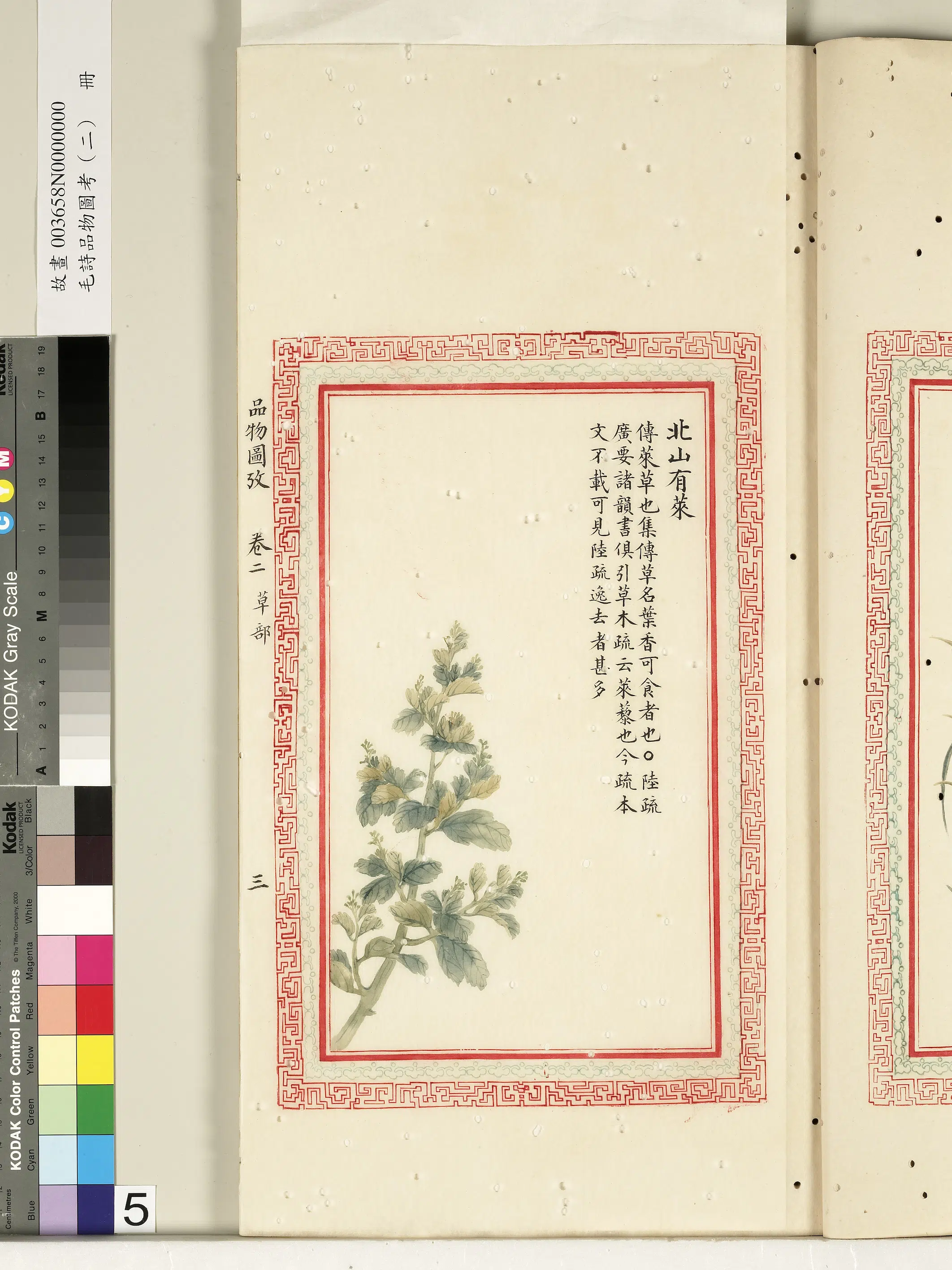 清朝【佚名】《毛诗品物图考（二）册-北山有莱-2》