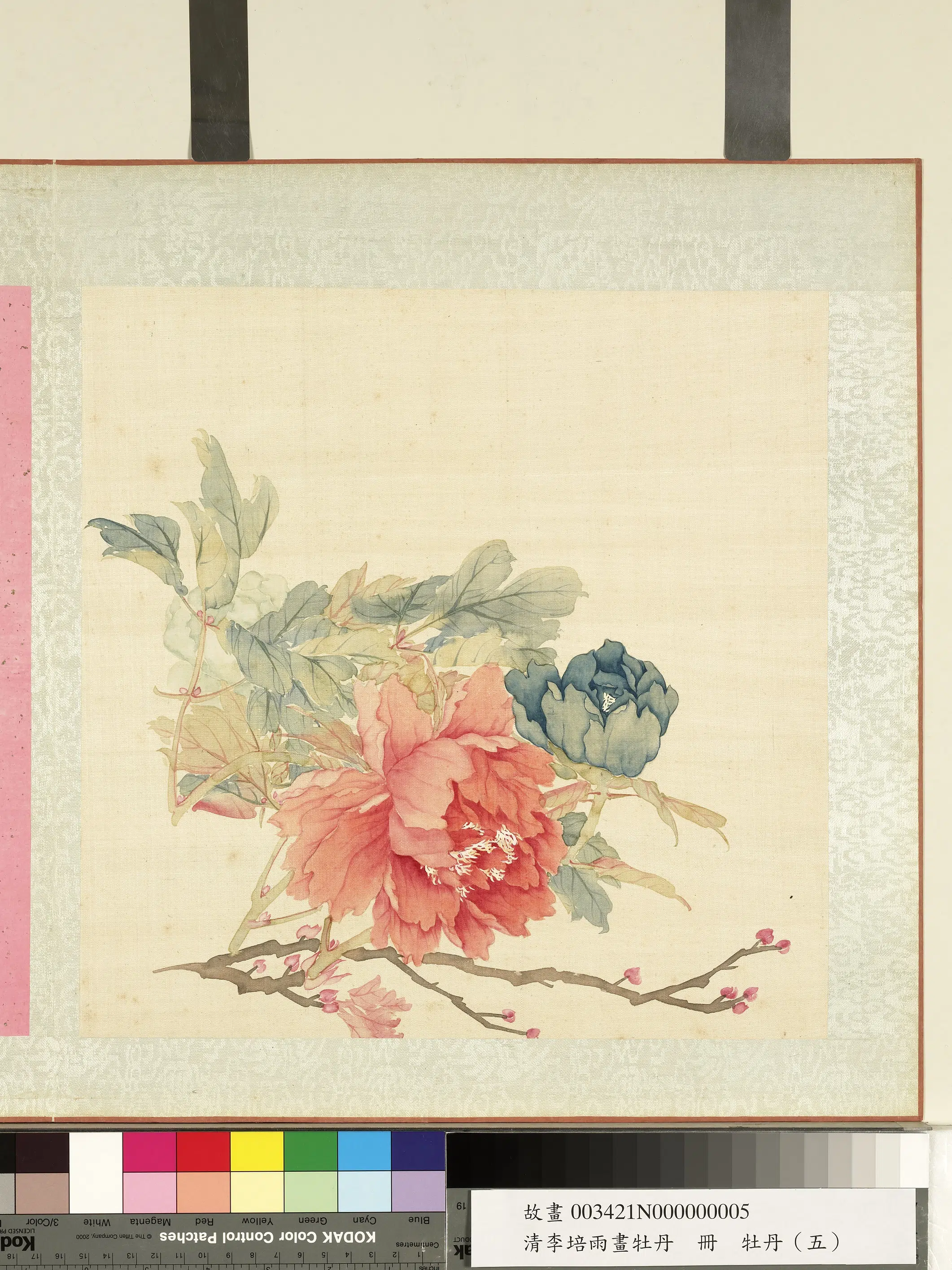 清代【李培雨】《画牡丹册》 第6张 清代【李培雨】《画牡丹册》 第6张