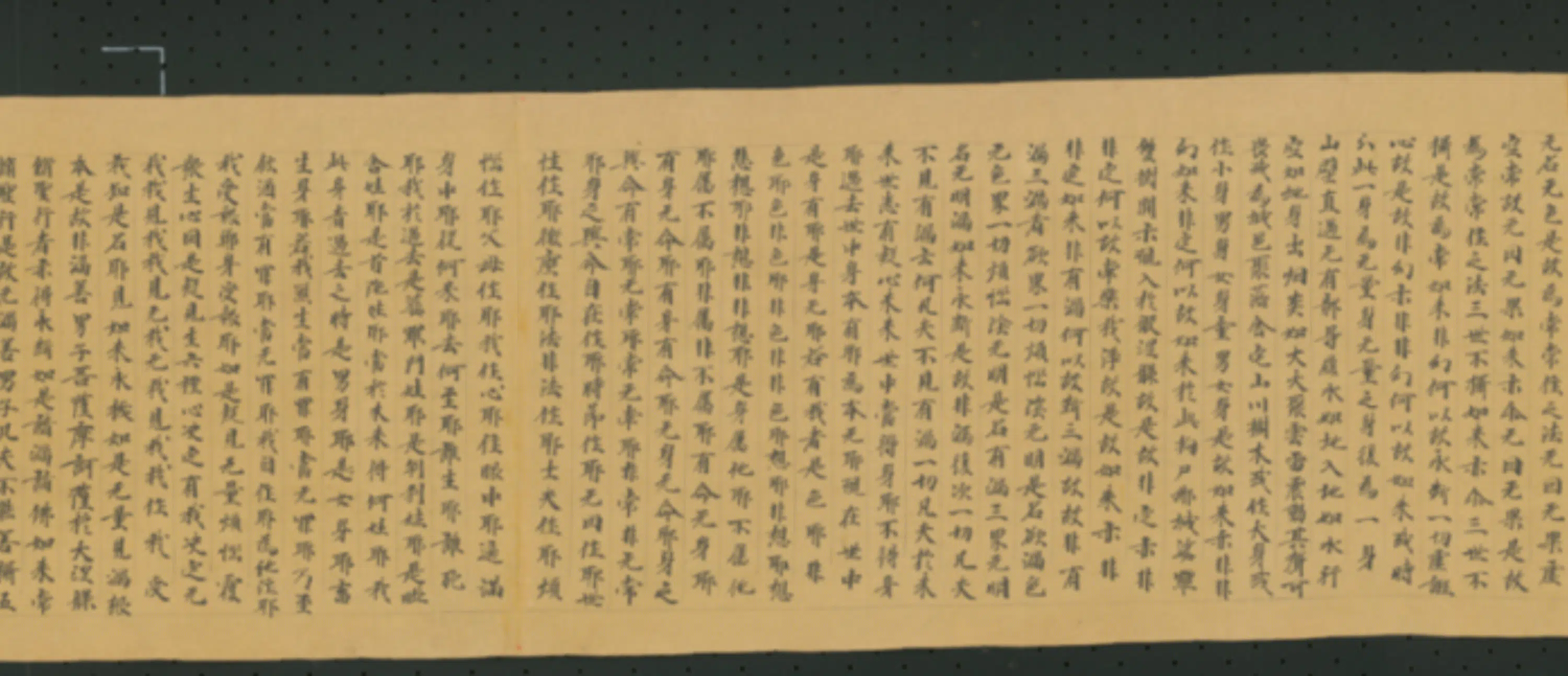 唐朝《无款行书写大湼槃经德王菩萨品二十二卷》 第9张