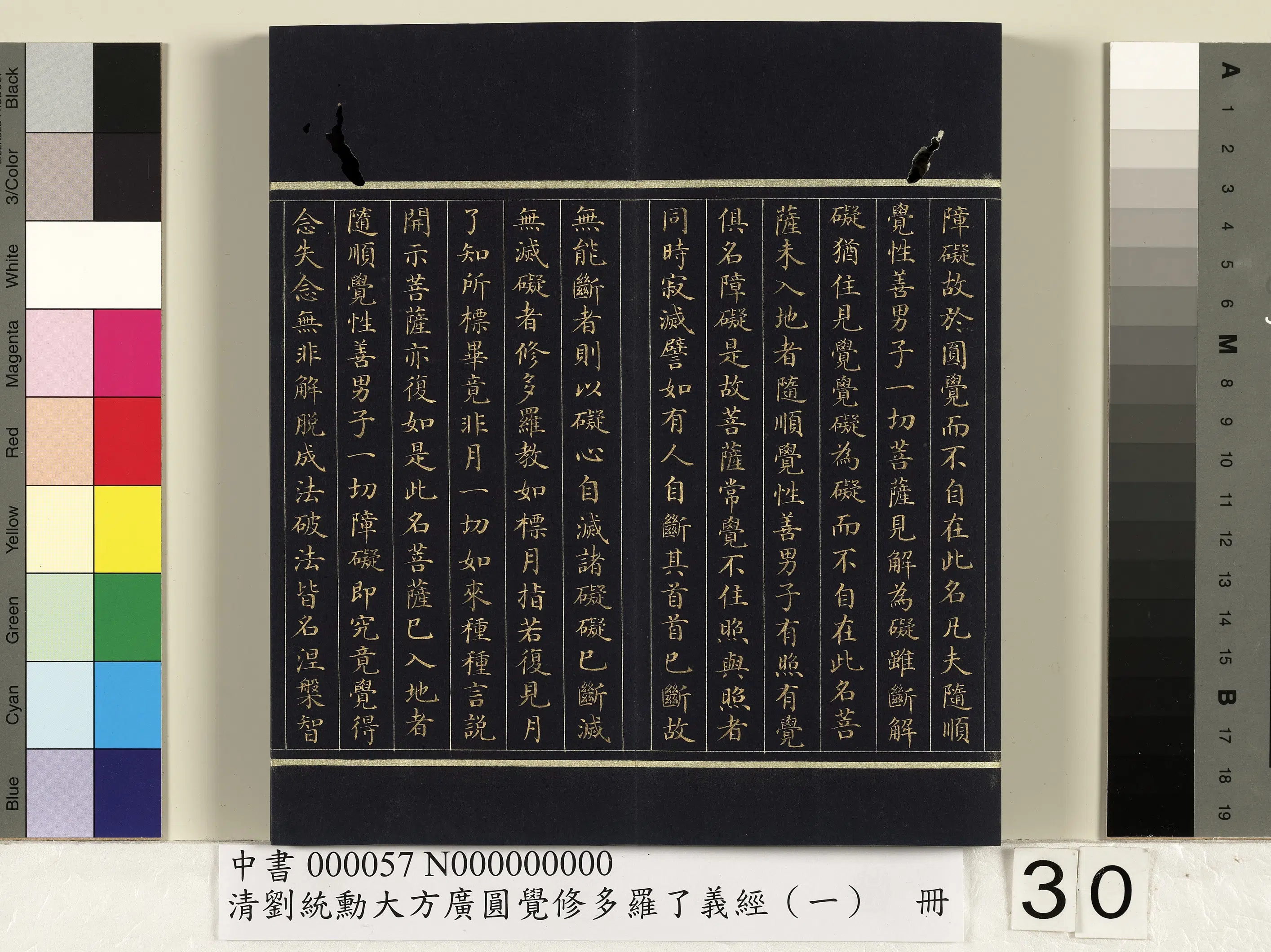 清代【刘统勋】《大方广圆觉修多罗了义经（一）册》 第24张