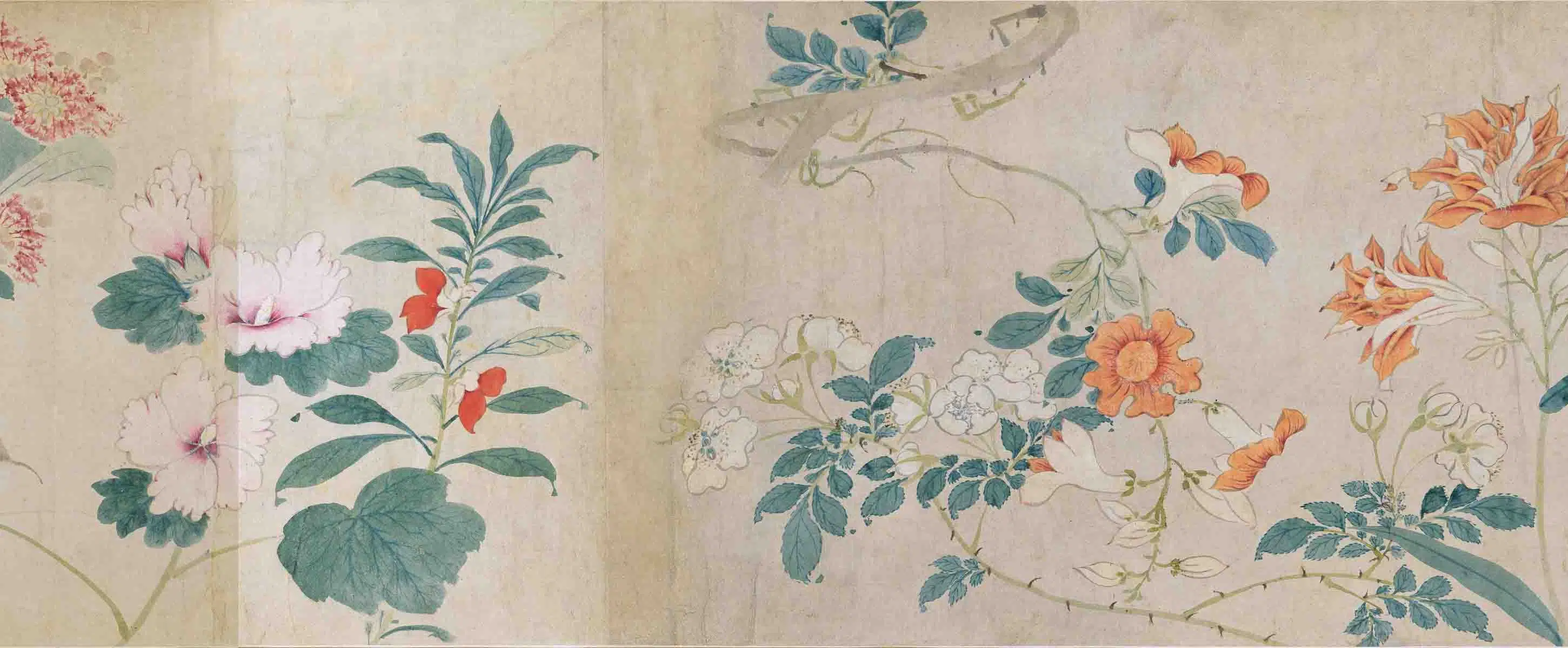 明朝【周之冕】《群芳竞秀图卷》 第17张 明朝【周之冕】《群芳竞秀图卷》 第17张
