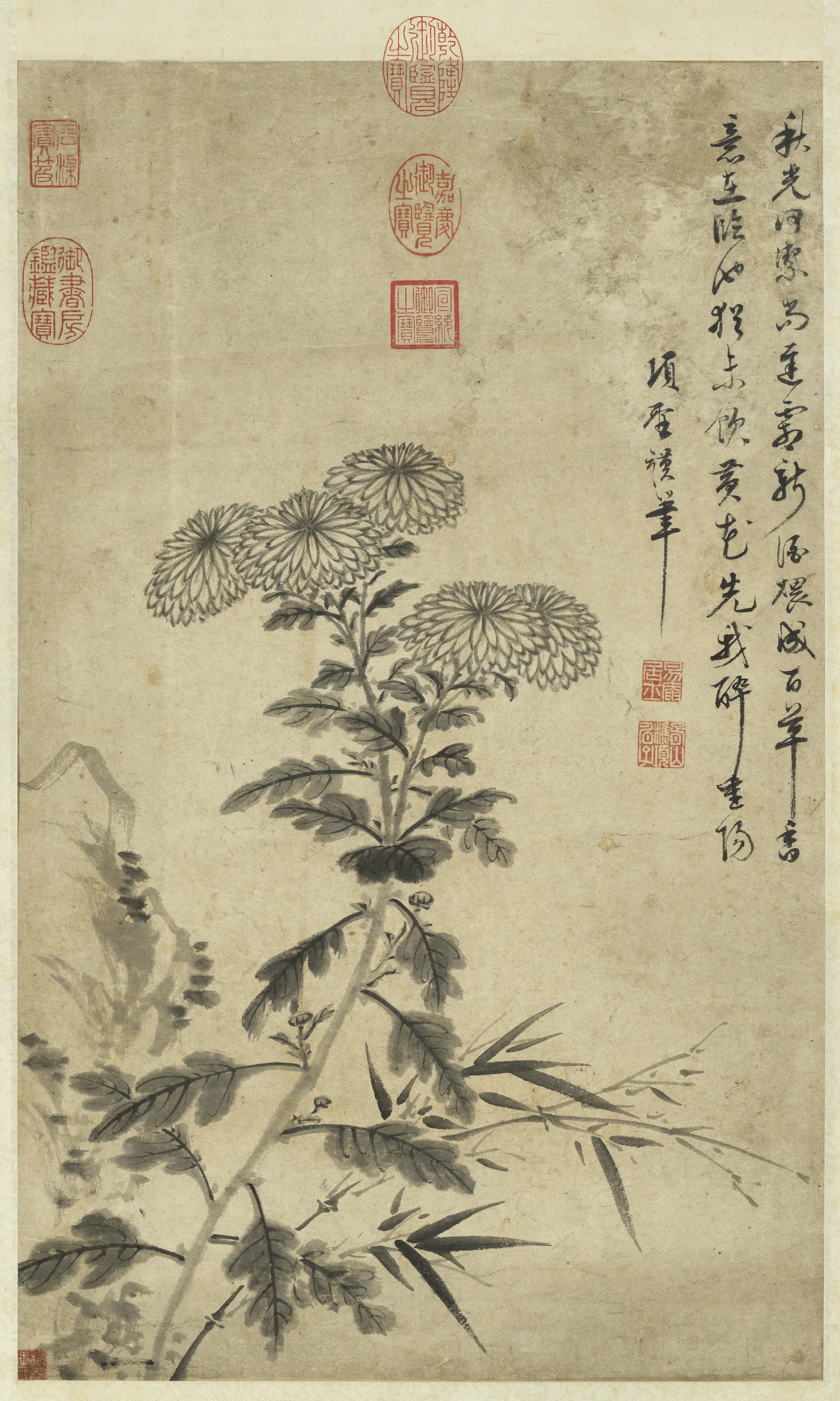 明朝【项圣谟】《菊花竹石图轴》
