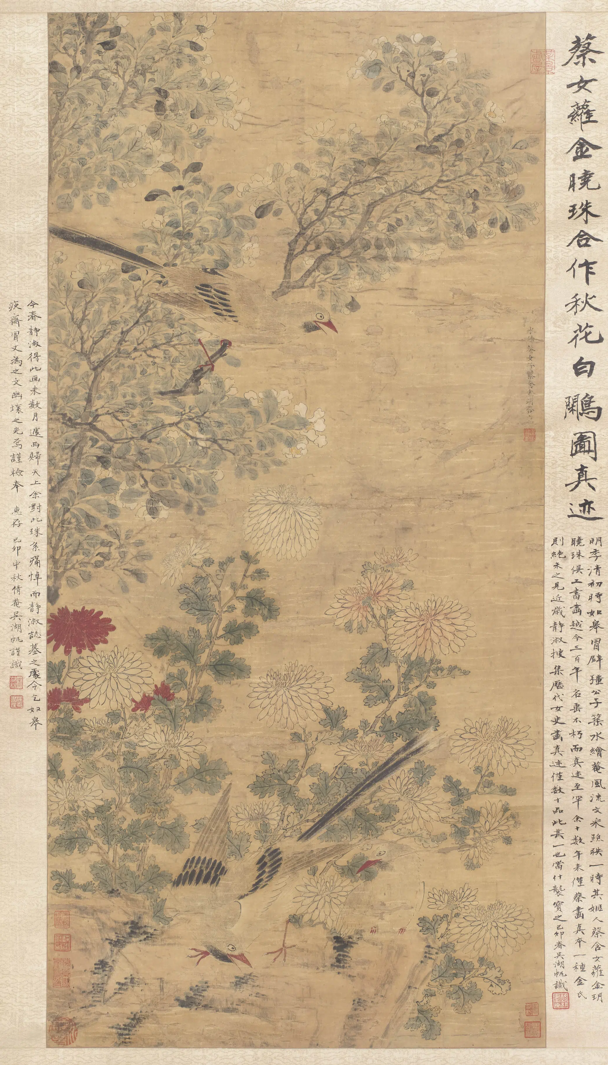 清代【蔡含】《金玥秋花白鹇图轴》