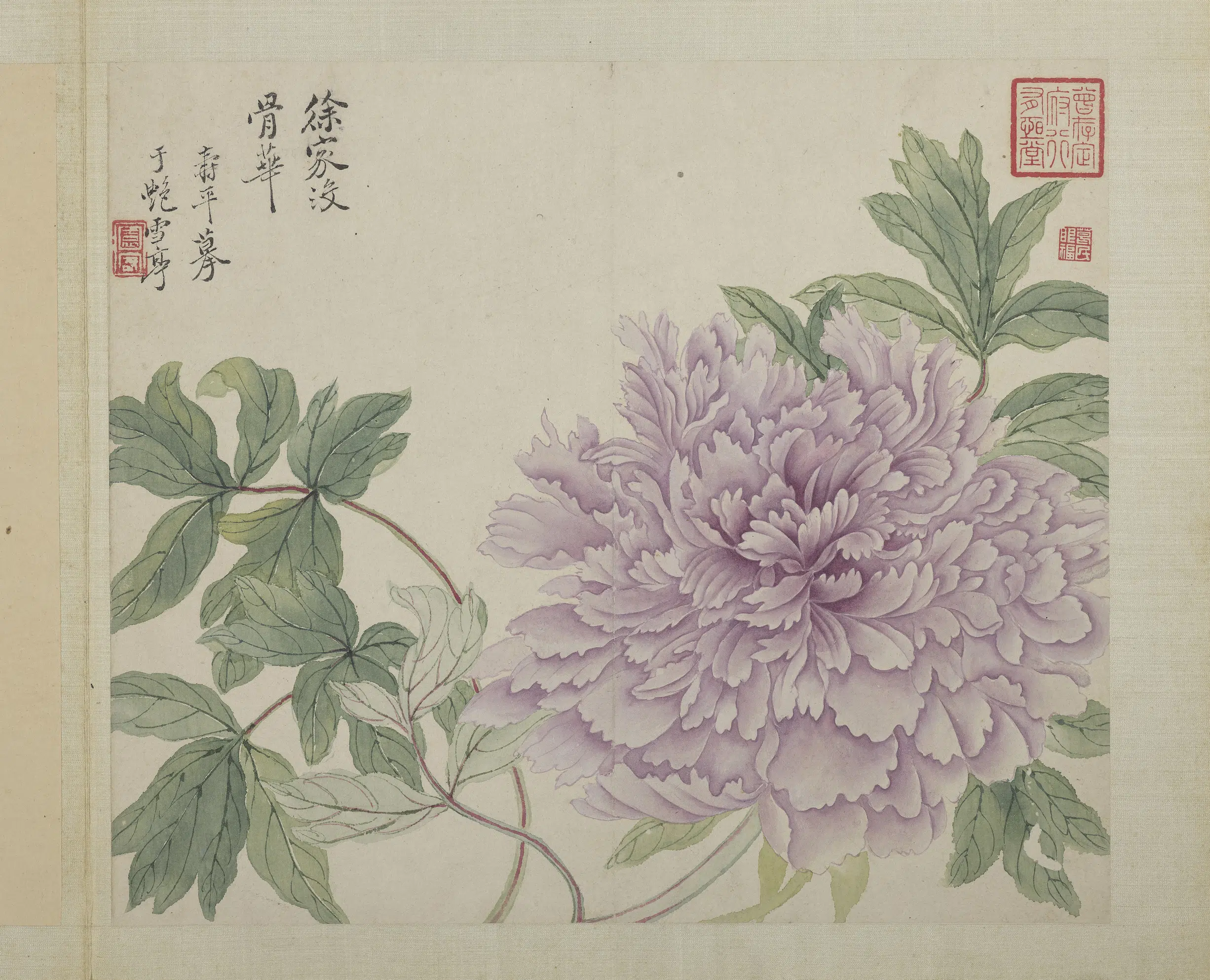 清代【恽寿平】《画花卉册-2》 第4张