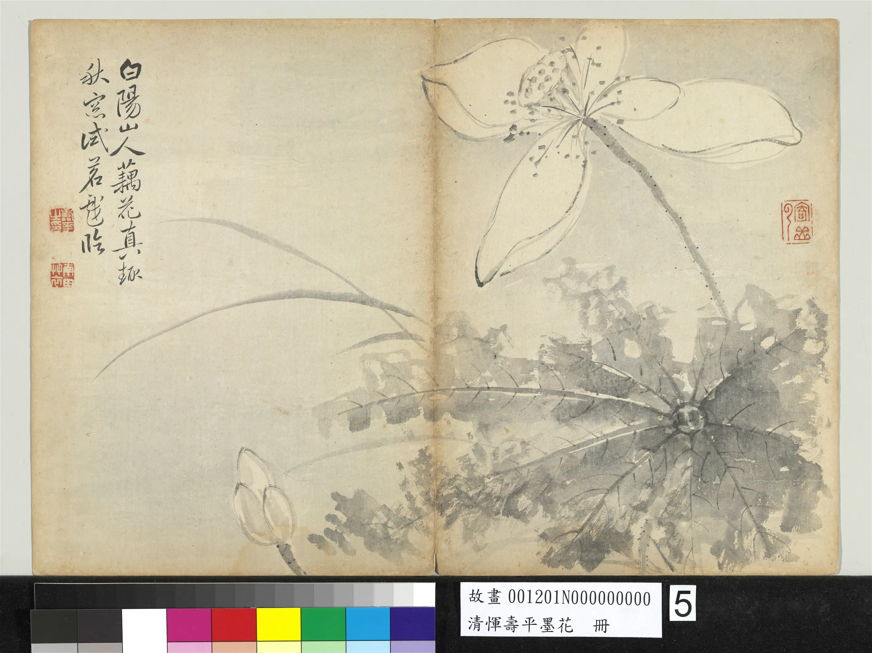 清代【恽寿平】《墨花册-荷花》