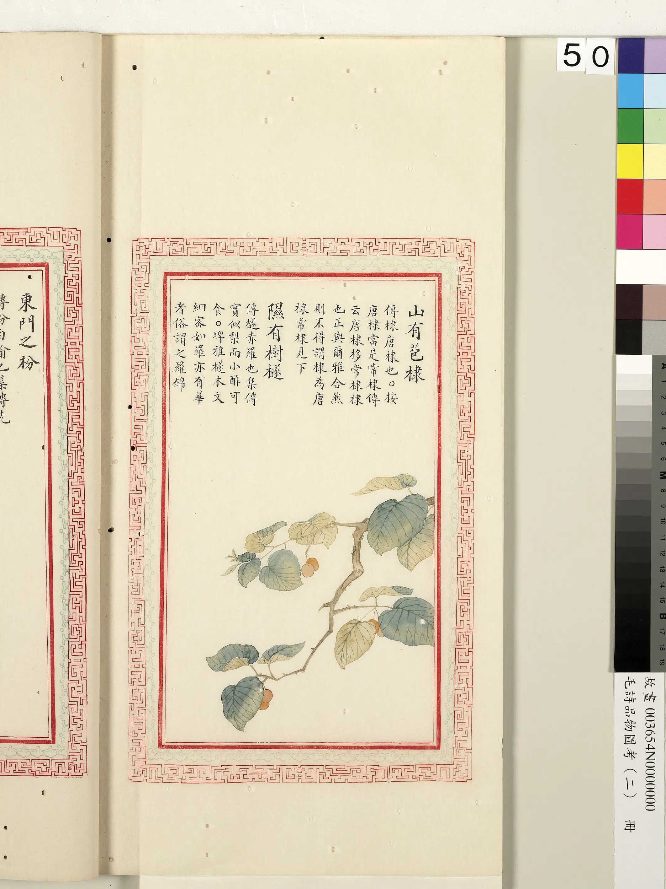 清朝【佚名】《毛诗品物图考（二）册-山有苞棣隰有树檖-1》