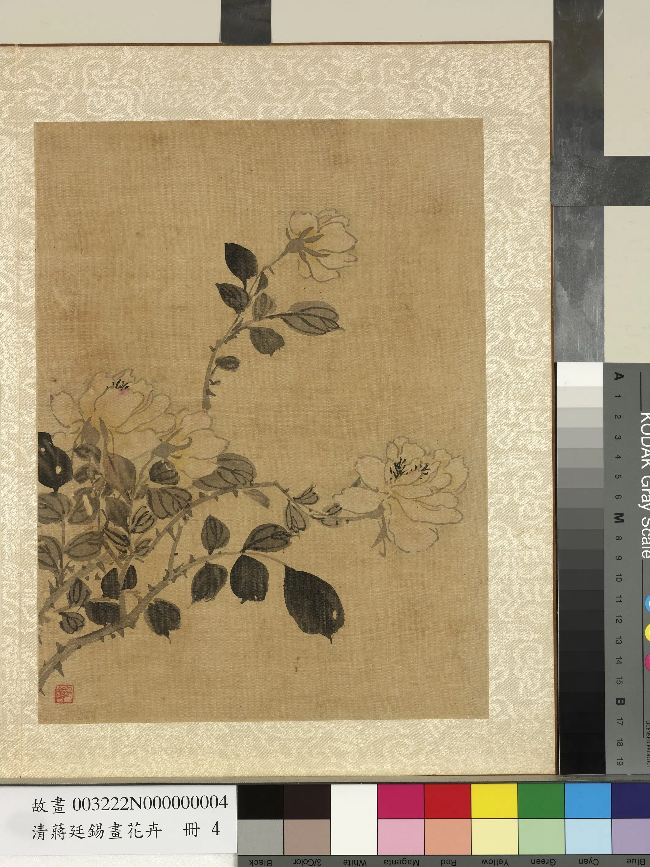 清代【蒋廷锡】《画花卉册》 第3张