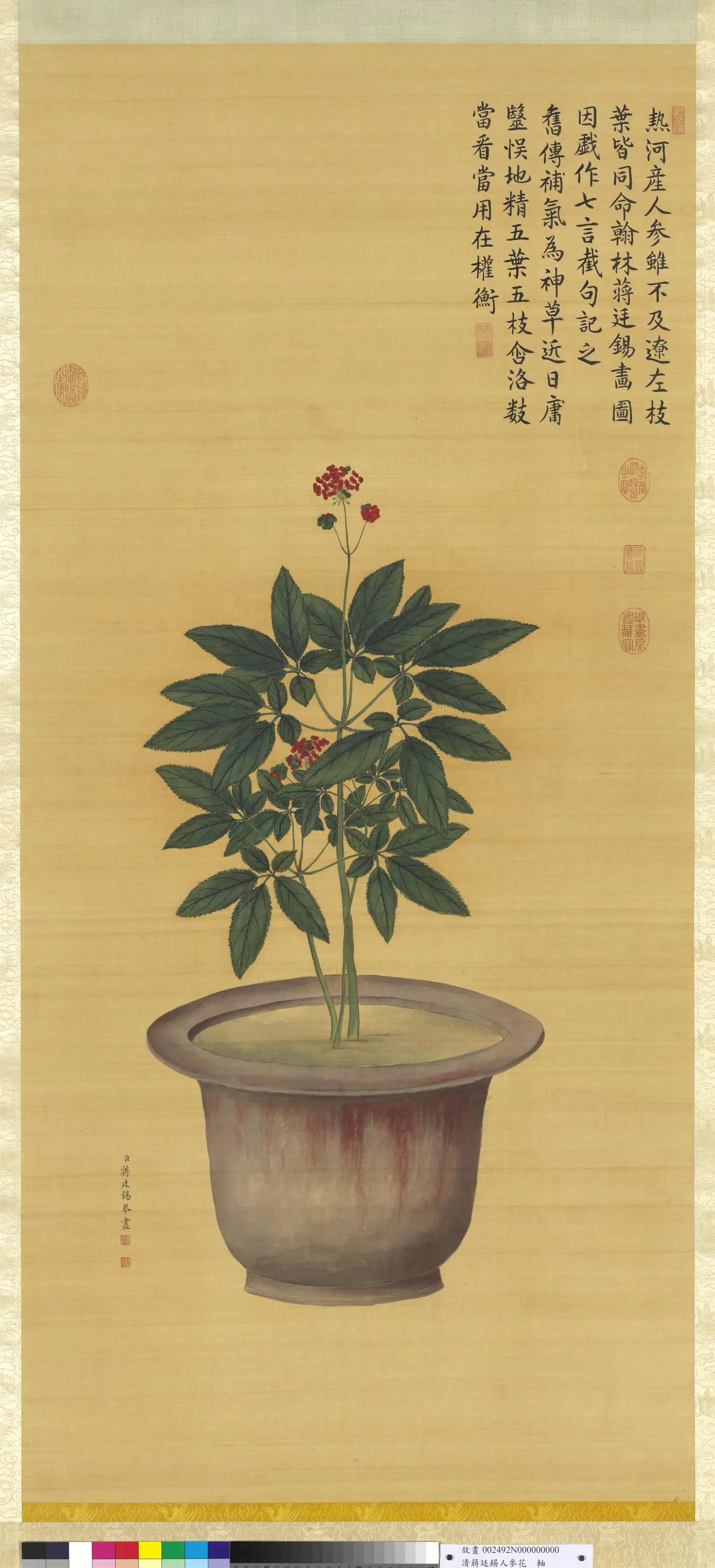 清代【蒋廷锡】《人参花图轴》