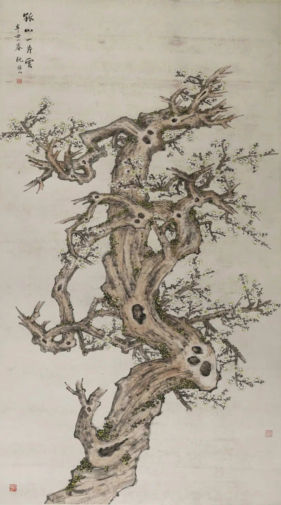 近现代【阮性山】《设色梅花》