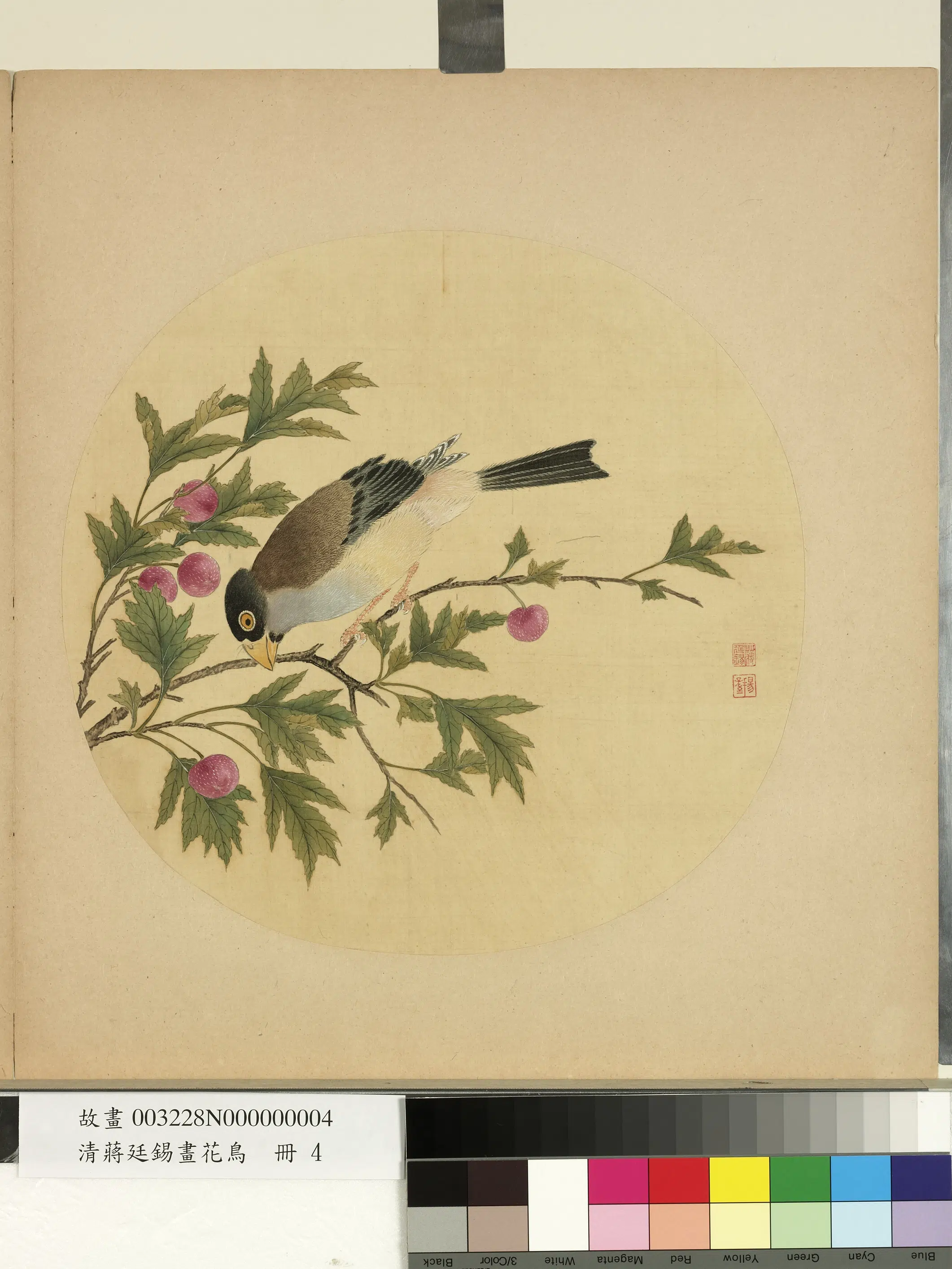 清代【蒋廷锡】《画花鸟册-樱桃》