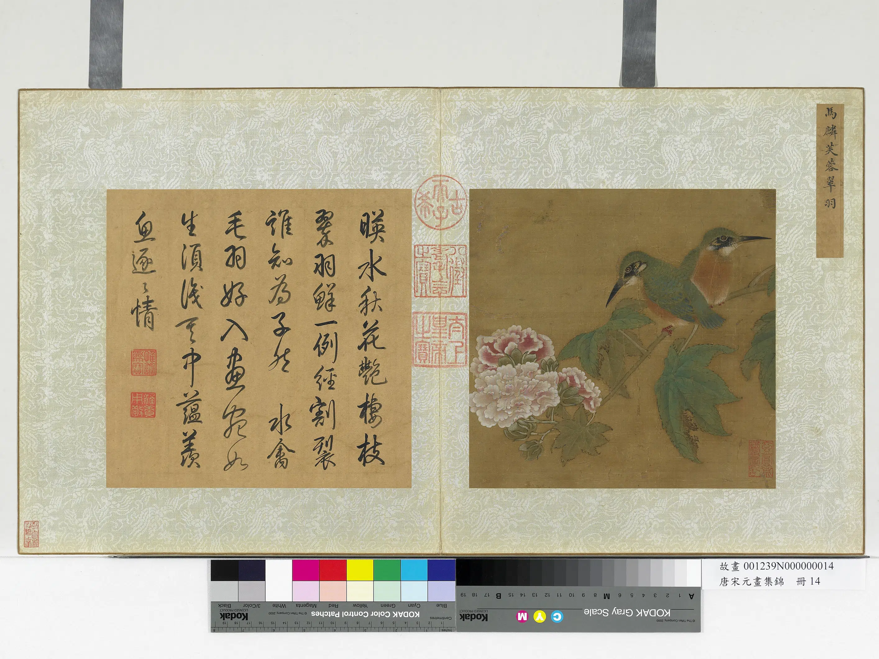 南宋【马麟】《芙蓉翠羽图-唐宋元画集锦册》