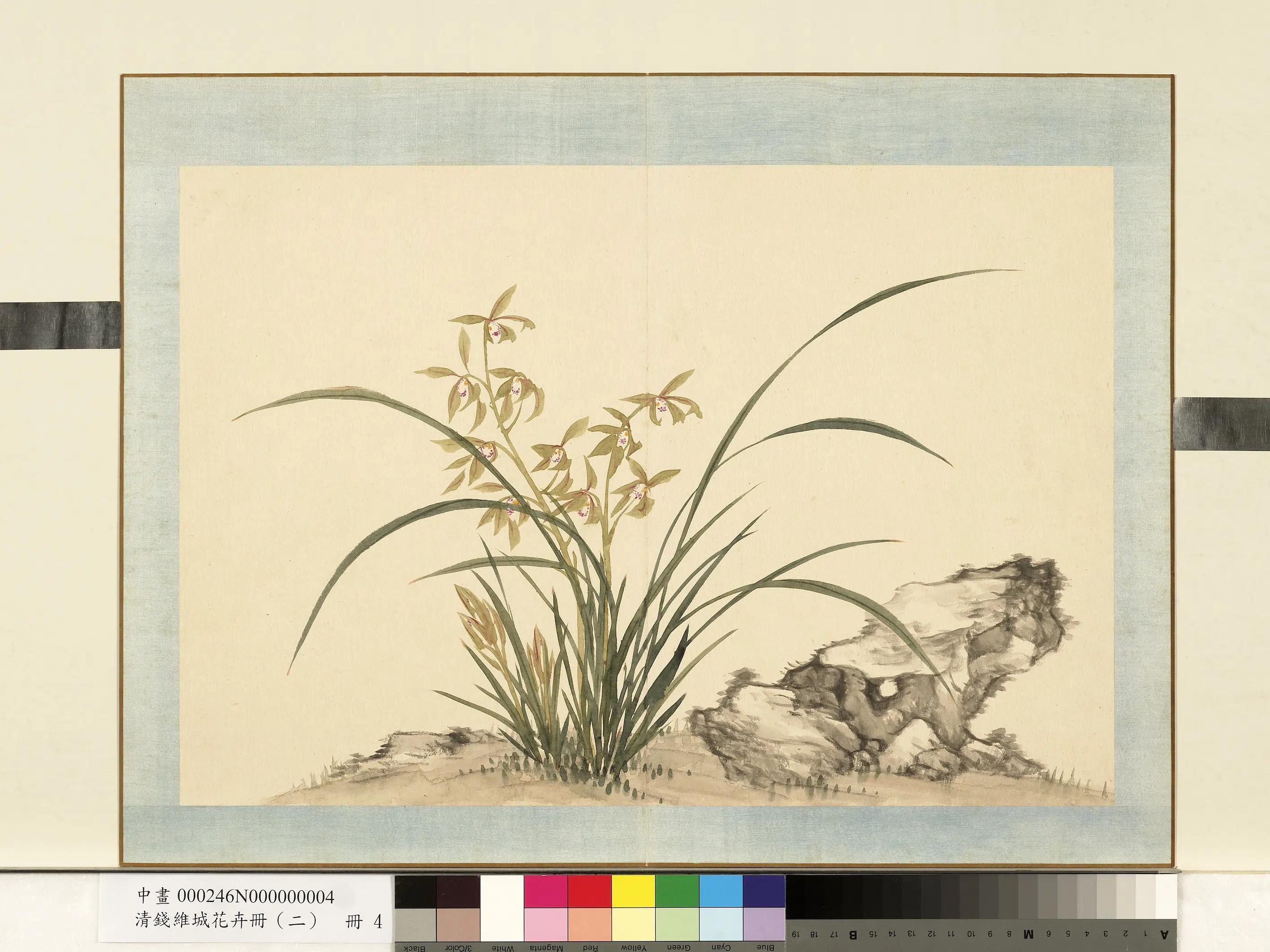 清代【钱维城】《花卉册（二）册》 第9张