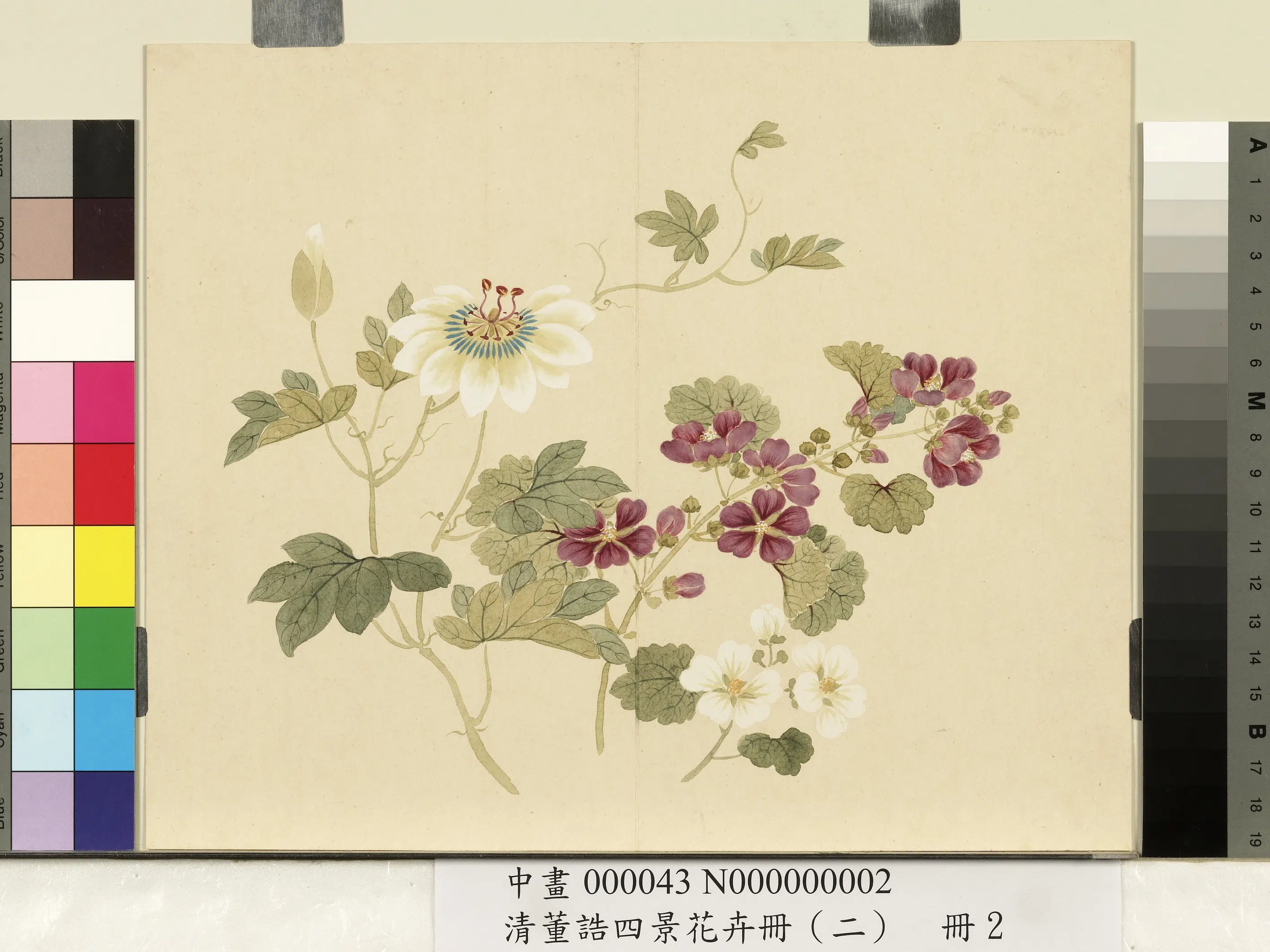 清代【董诰】《四景花卉册(二)册》 第5张 清代【董诰】《四景花卉册(二)册》 第5张