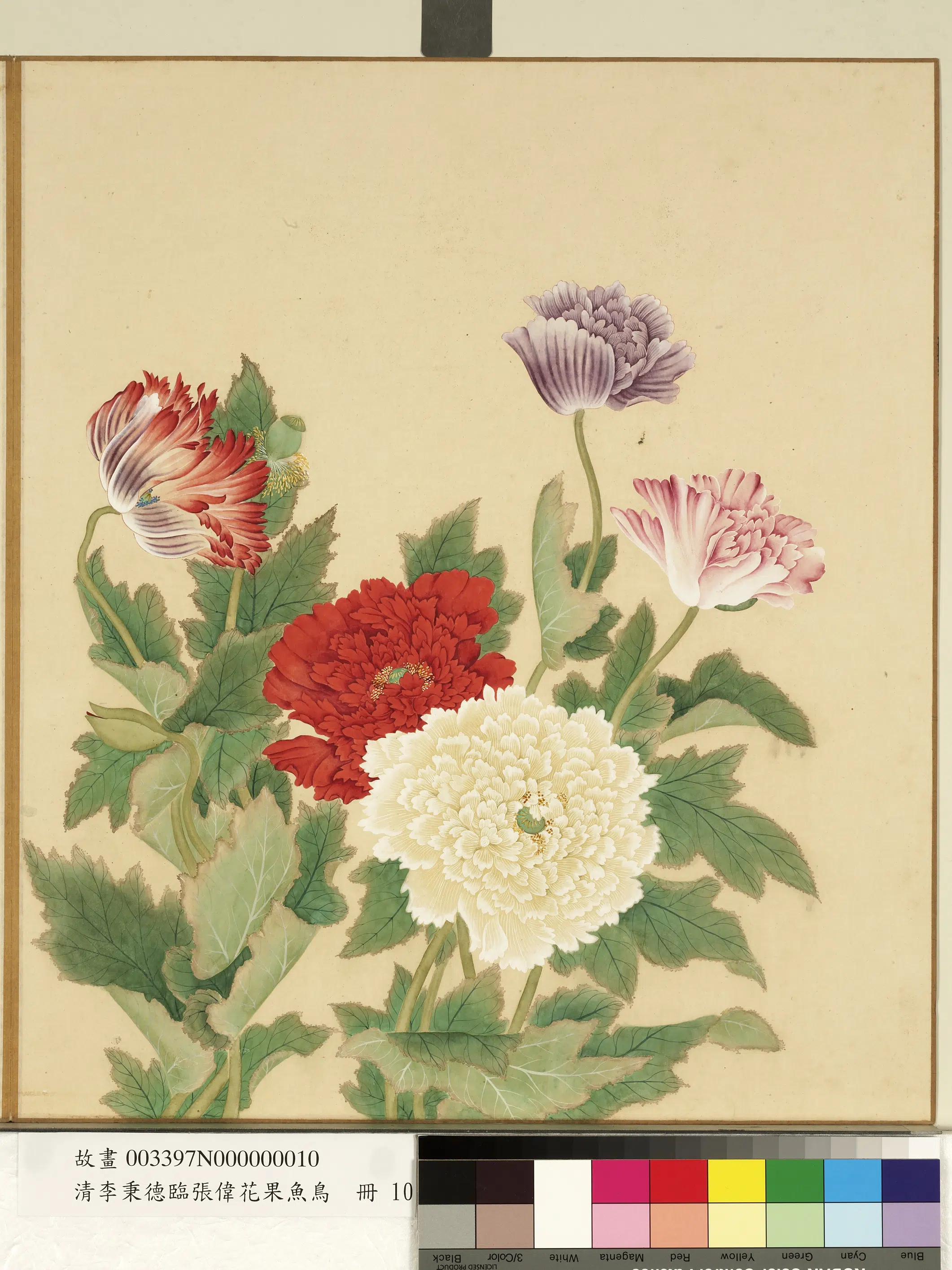 清代【李秉德】《临张伟花果鱼鸟册》 第17张