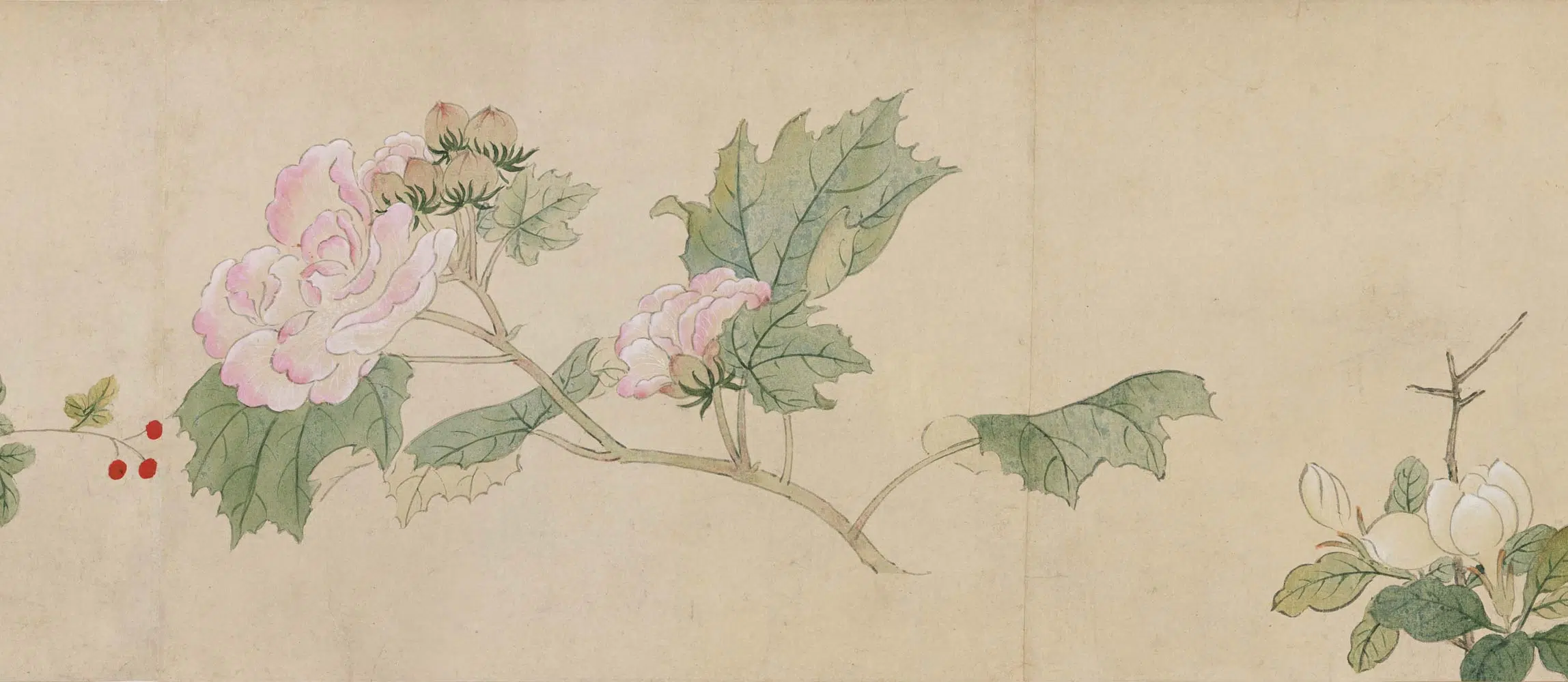 明朝【孙克弘】《设色花卉卷》 第5张 明朝【孙克弘】《设色花卉卷》 第5张