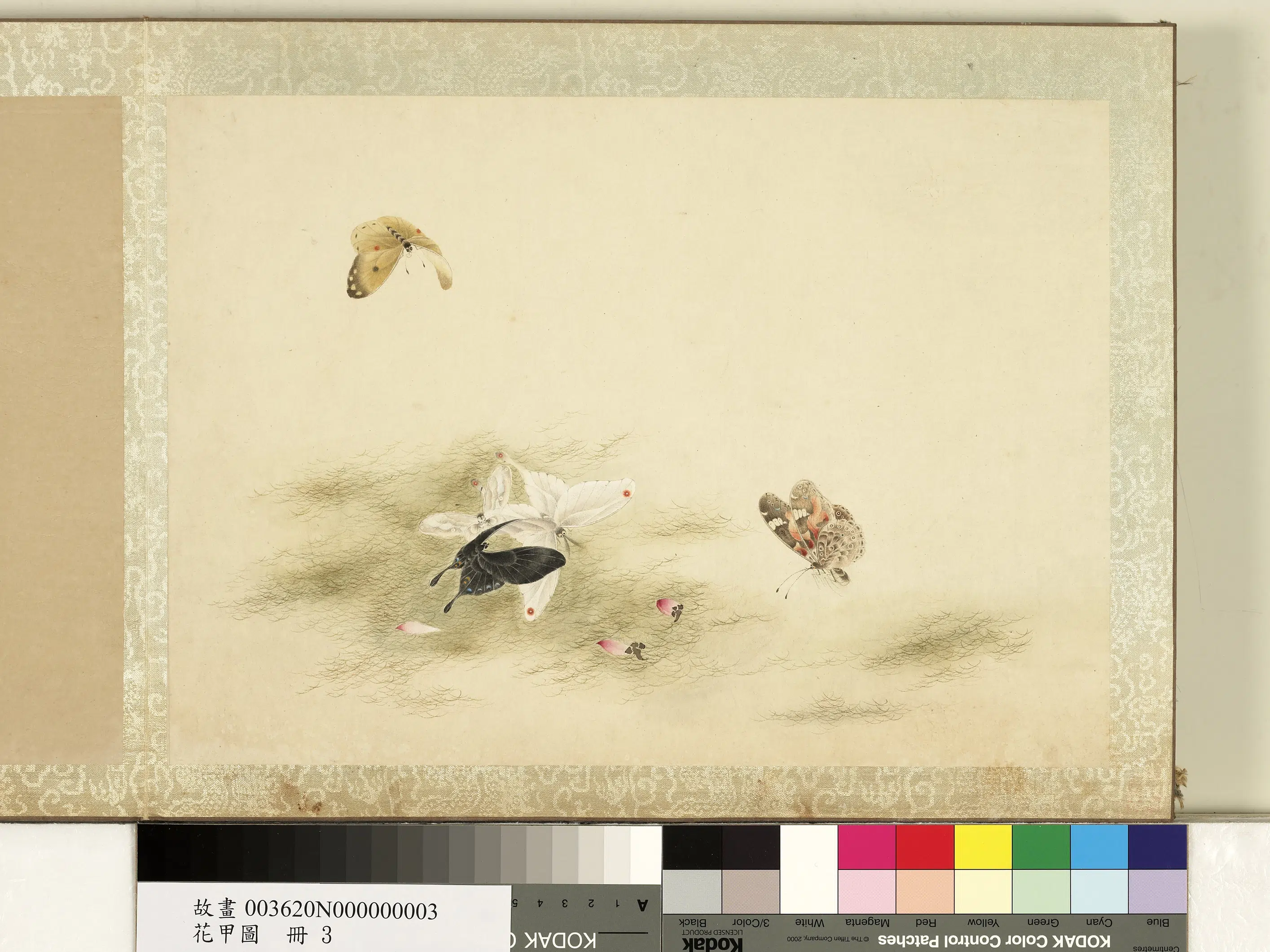 《花甲图册》 第3张 《花甲图册》 第3张