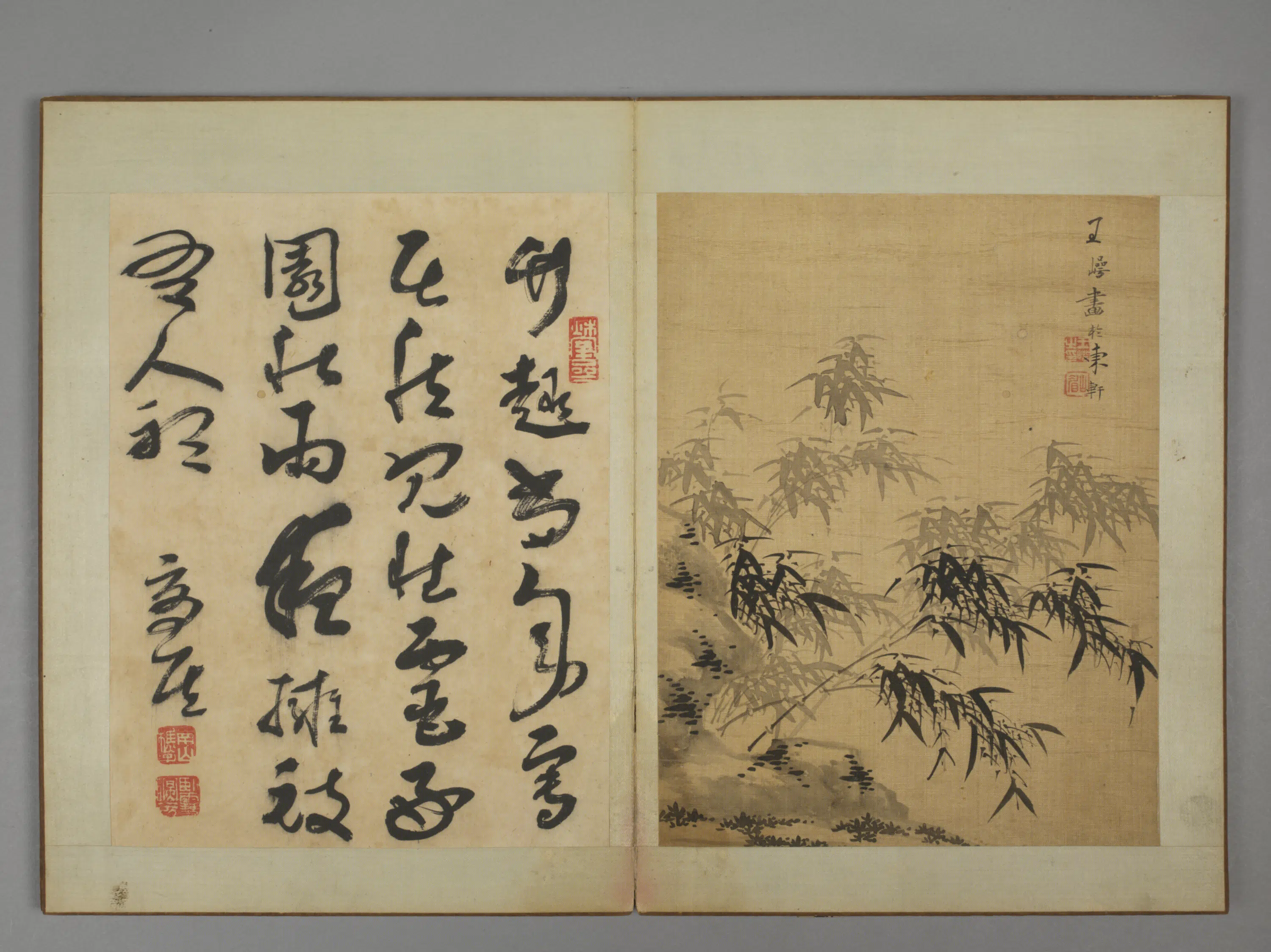 清代【王崿】《竹石册》 第3张