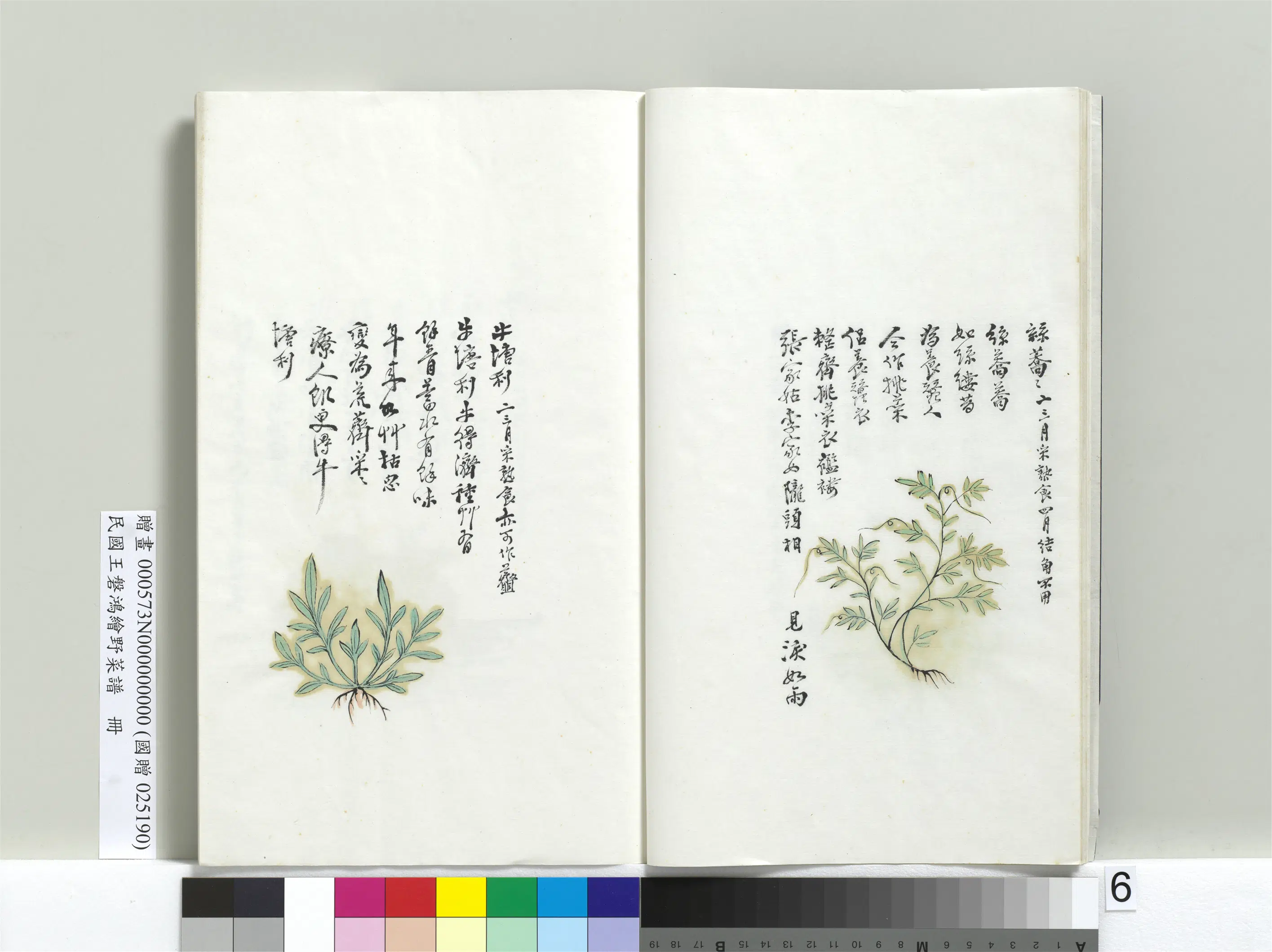 《绘王盘野菜谱册-丝荞荞》