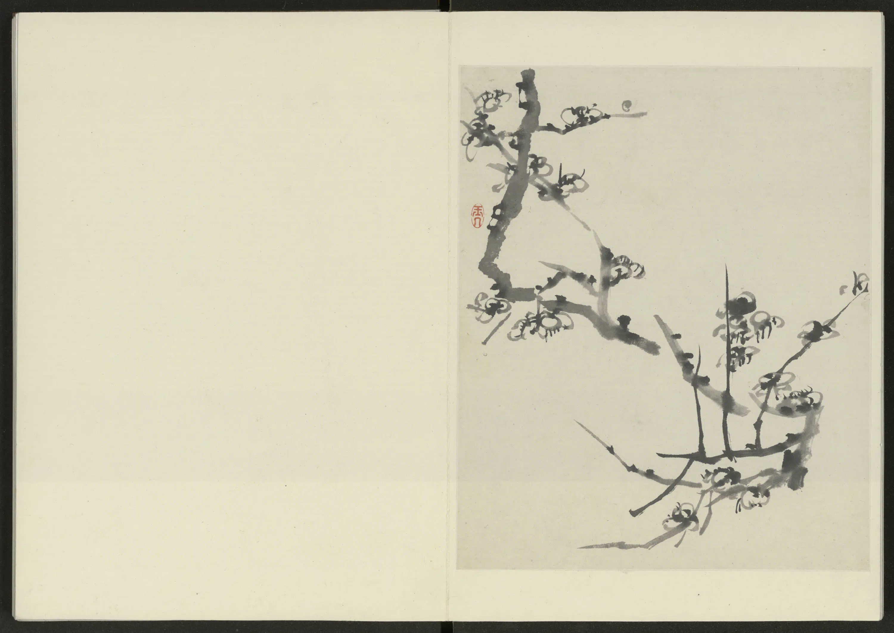 清代【陈撰】《花卉册（12开）》 第9张