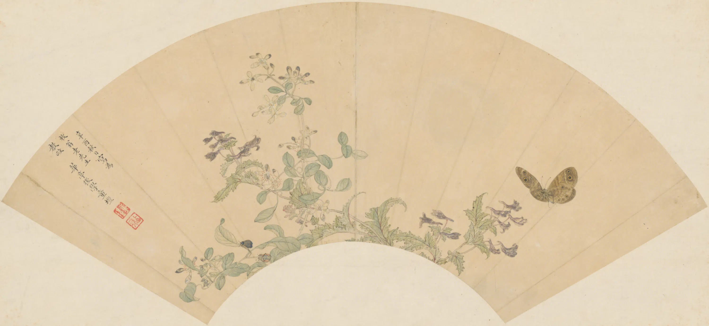 清代【童塏】《花蝶扇-2》