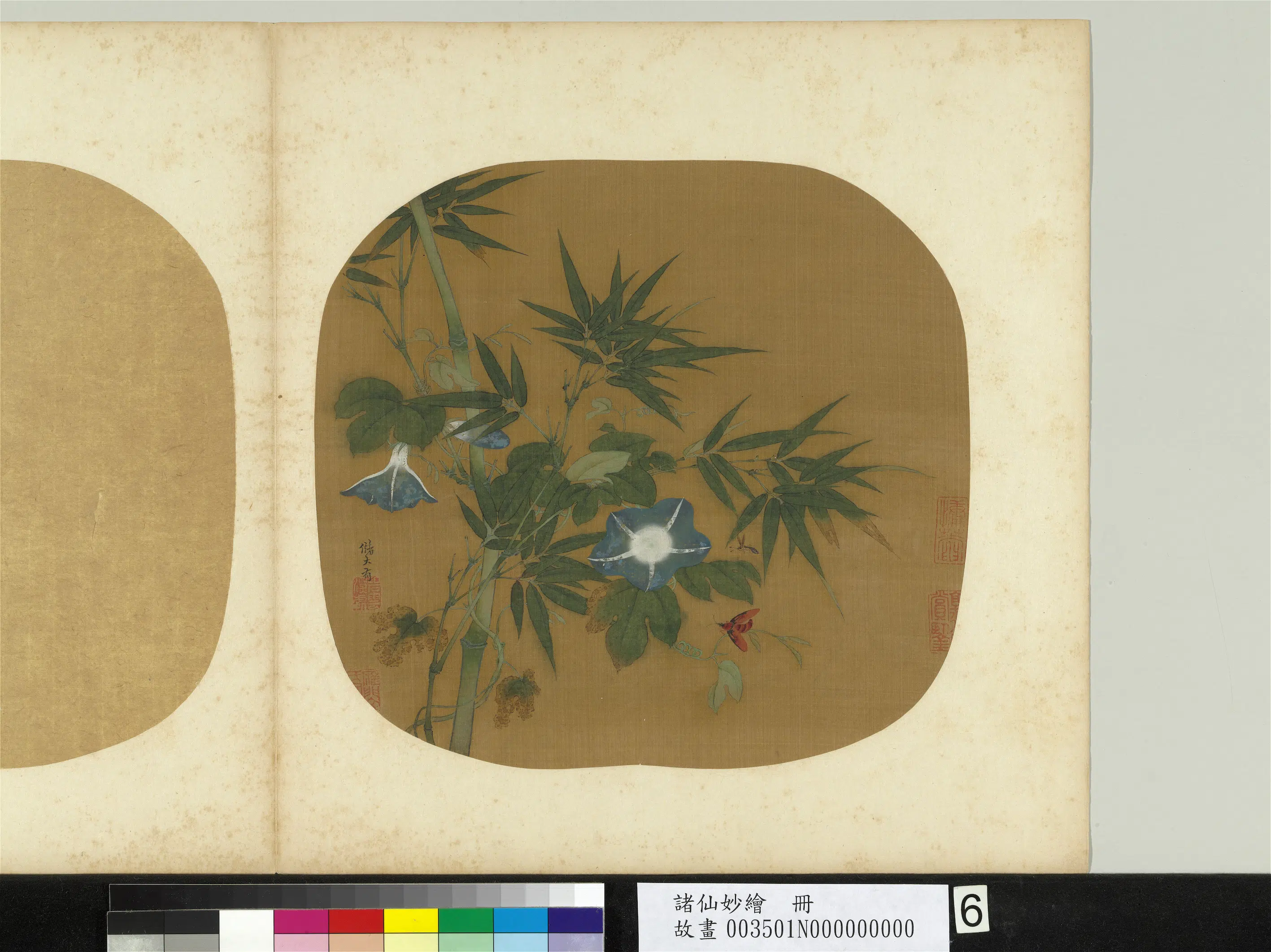 宋朝【储大有】《诸仙妙绘册-牵牛蜂竹》