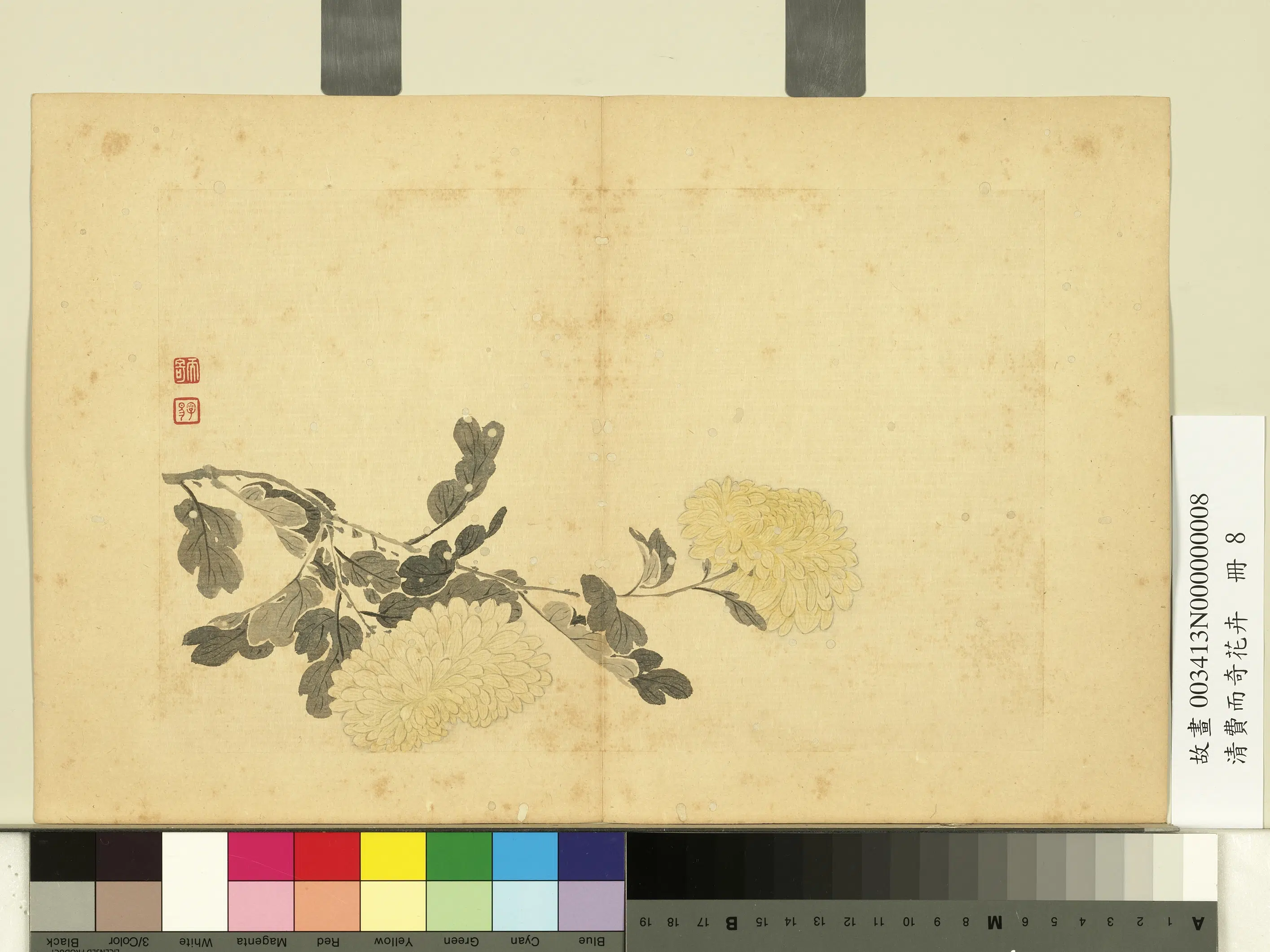 清代【费而奇】《花卉册》 第8张