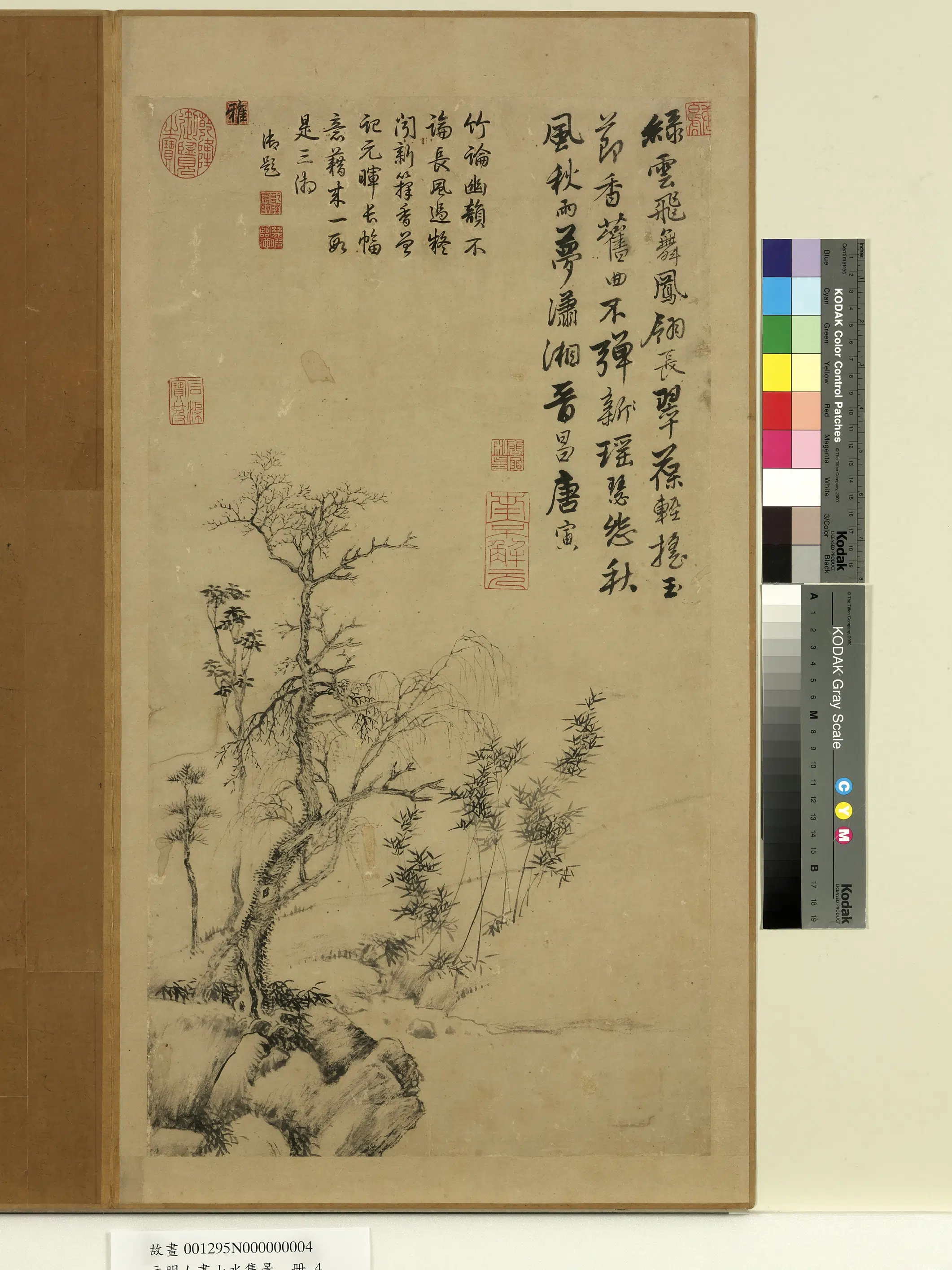 明朝【唐寅】《元明人画山水集景册-枯木竹石》