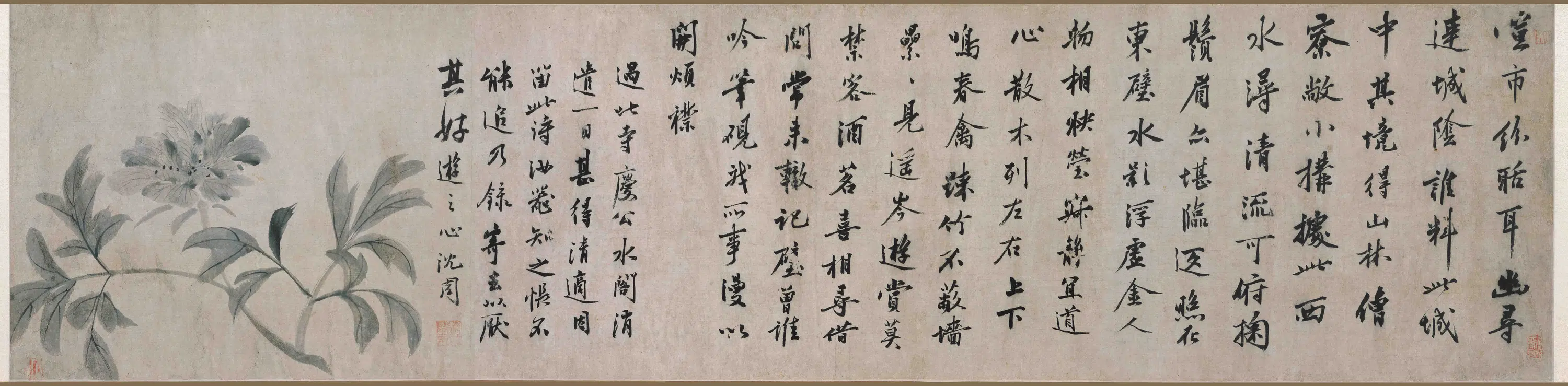 明朝【沈周】《芍药图卷》