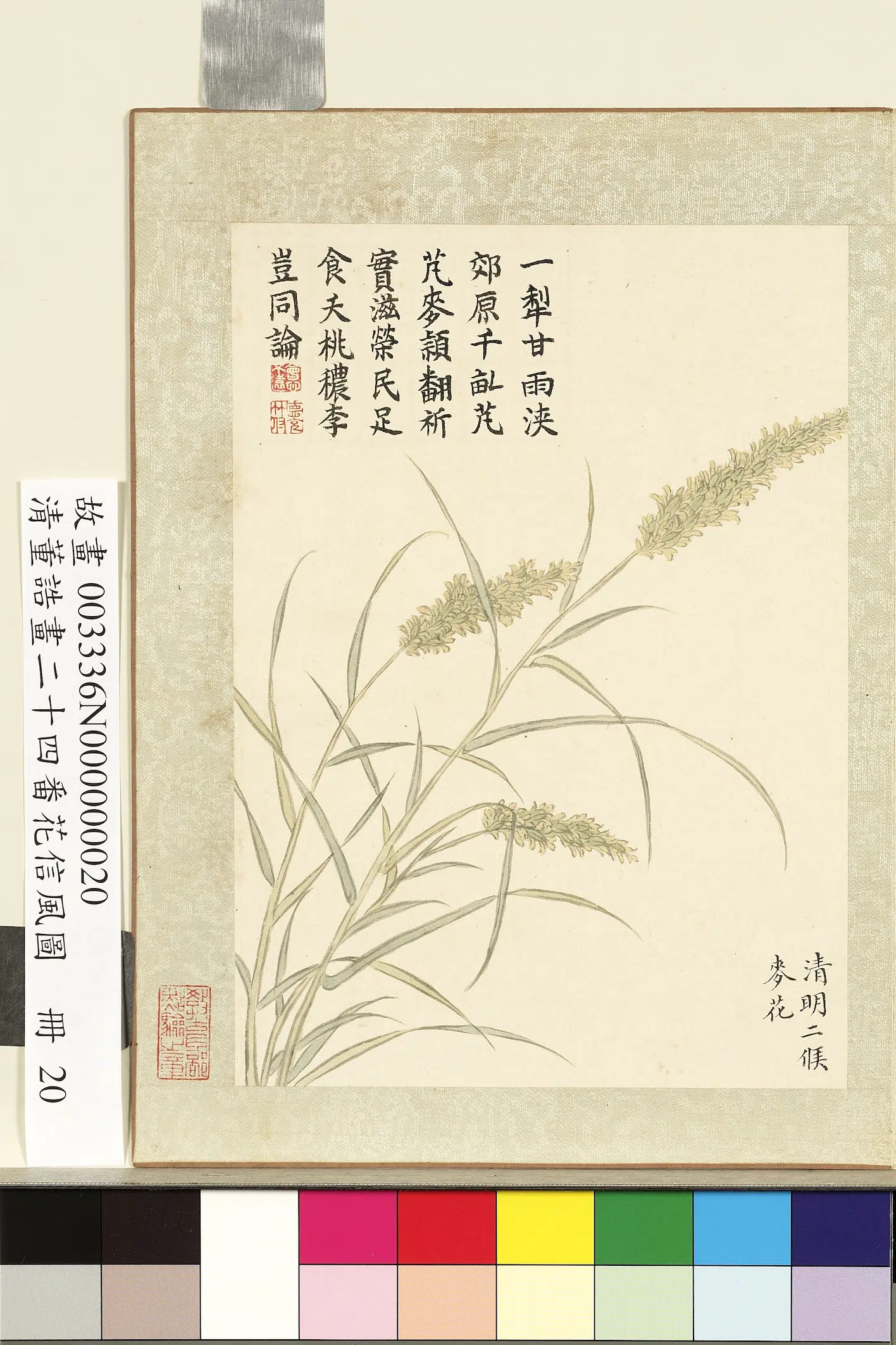 清代【董诰】《画二十四番花信风图册-清明二候麦花》 第1张 清代【董诰】《画二十四番花信风图册-清明二候麦花》 第1张