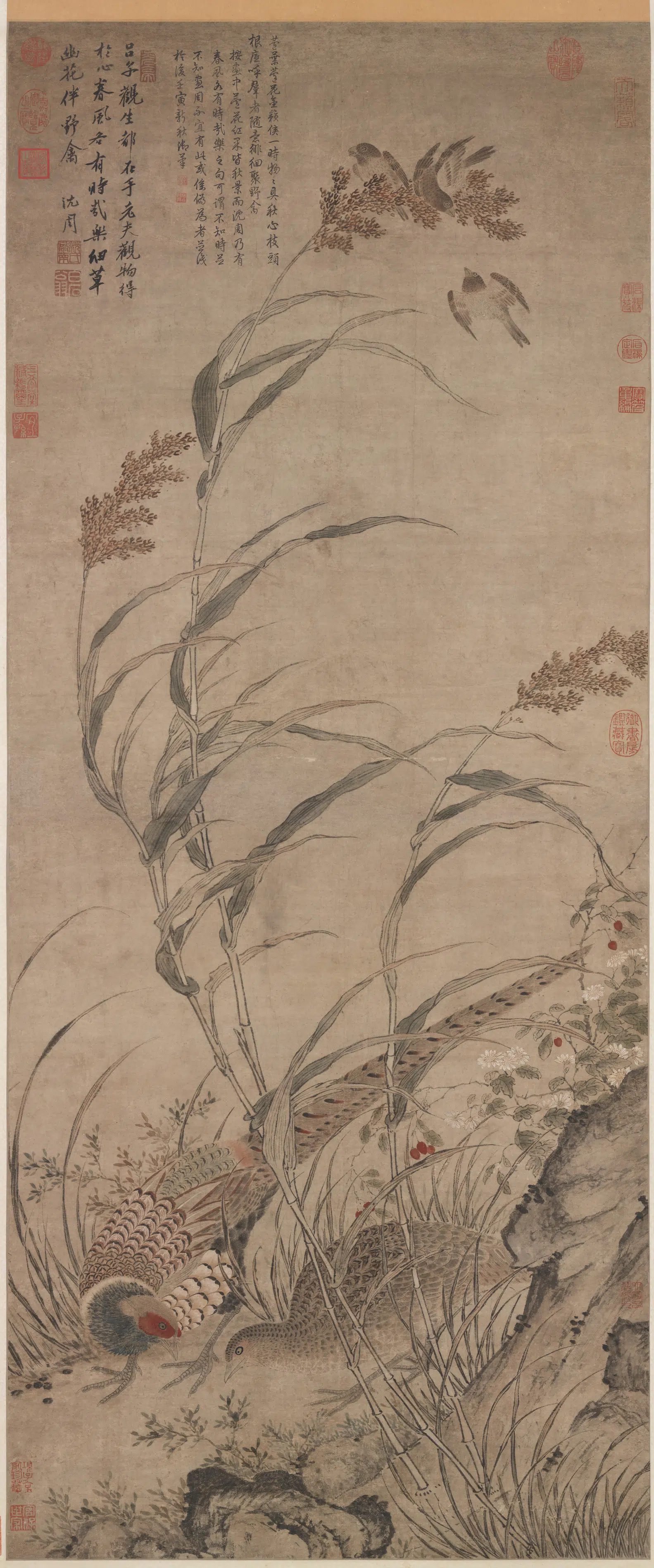 明朝【吕纪】《画草花野禽图轴》