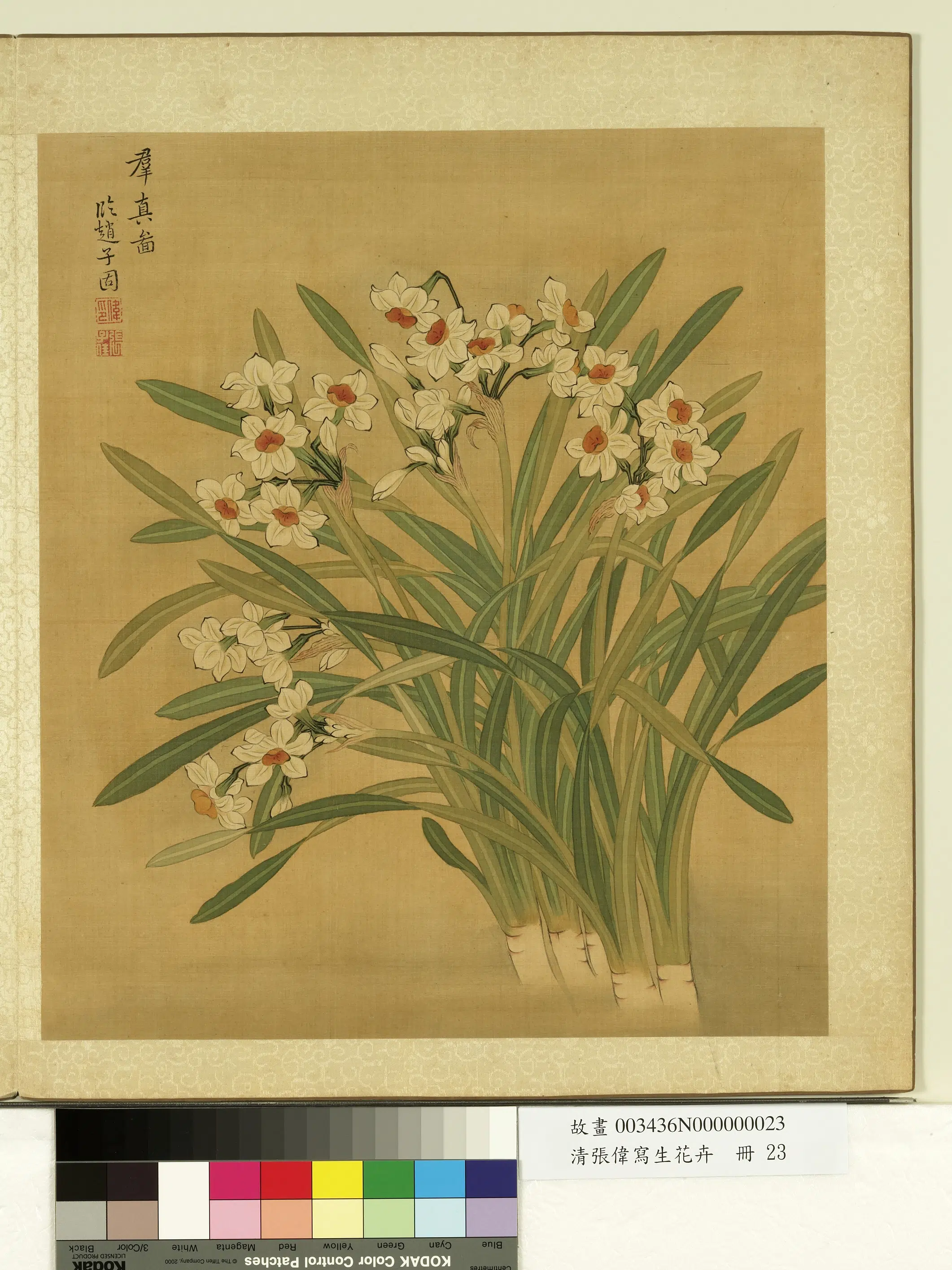 清代【张伟】《写生花卉册》 第10张