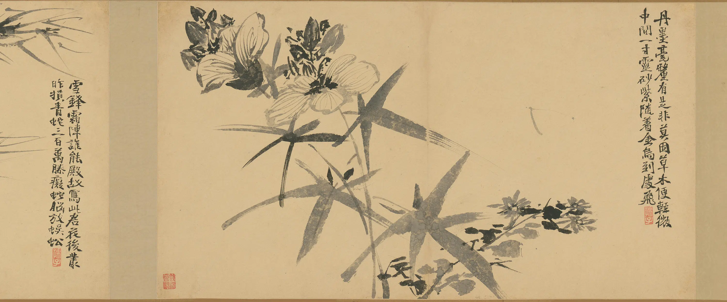 明朝【徐渭】《墨花卷》 第17张