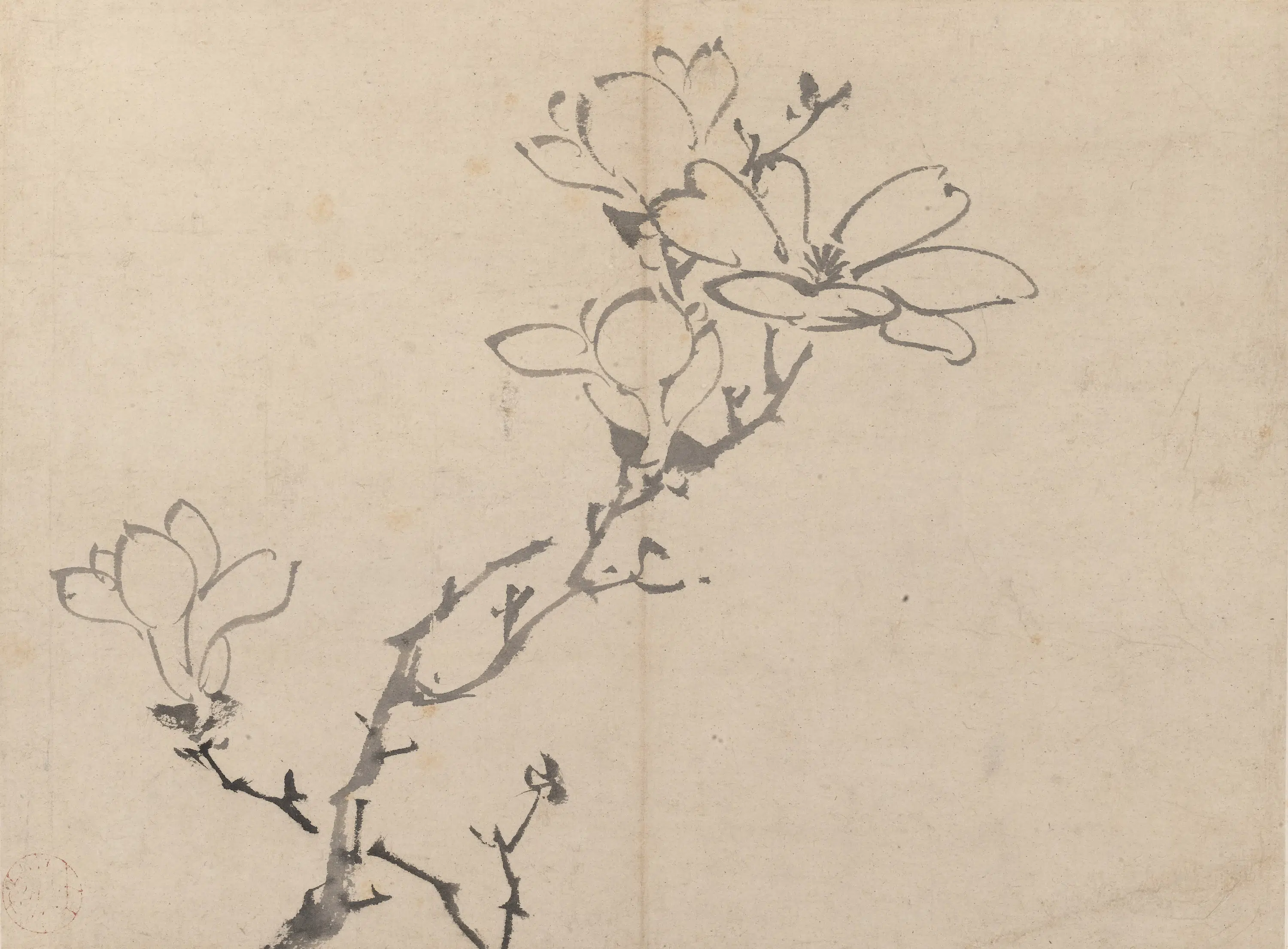 明朝【陈淳（道复）】《墨花图册》 第10张