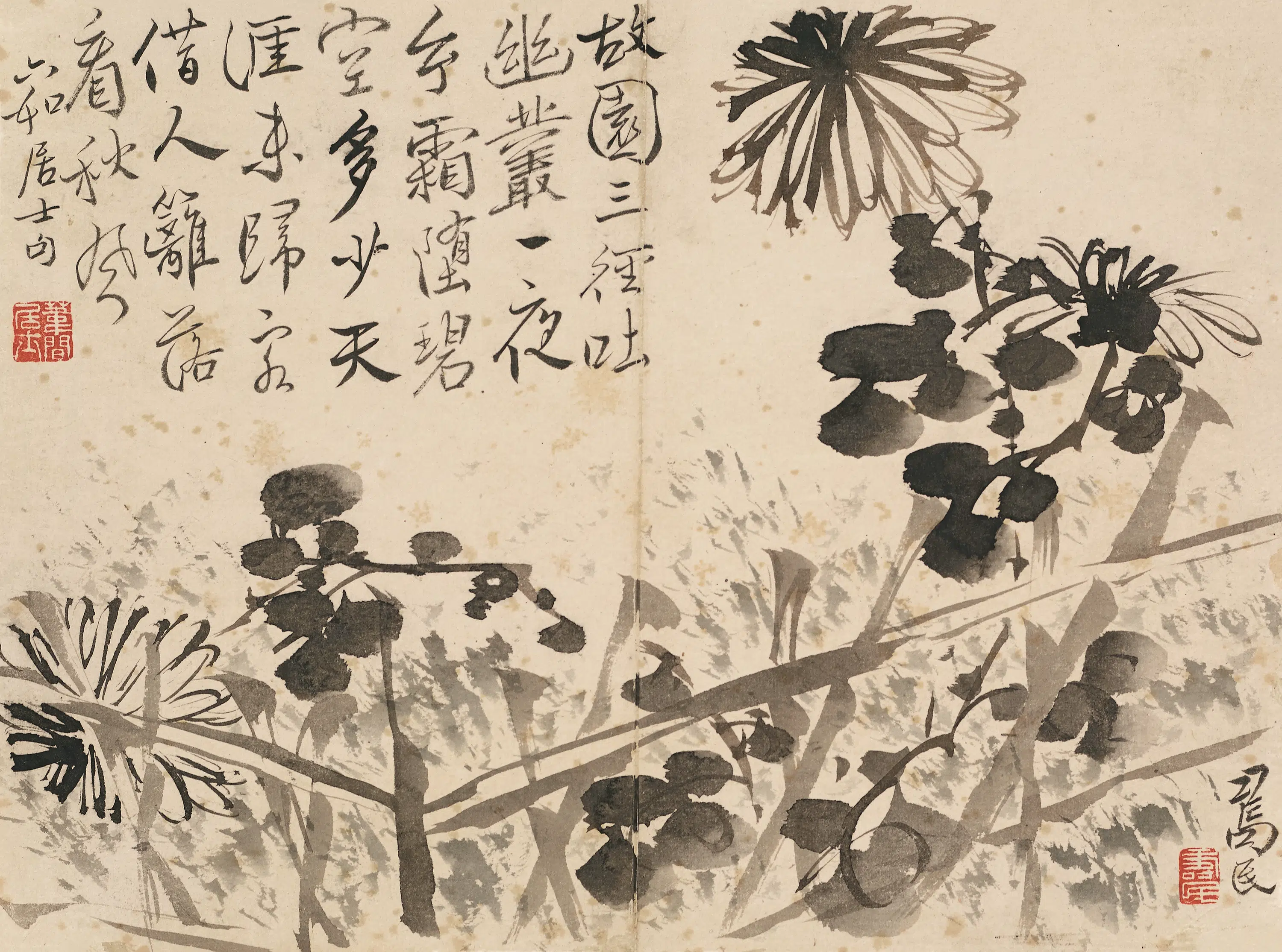 清代【边寿民】《杂画图册》