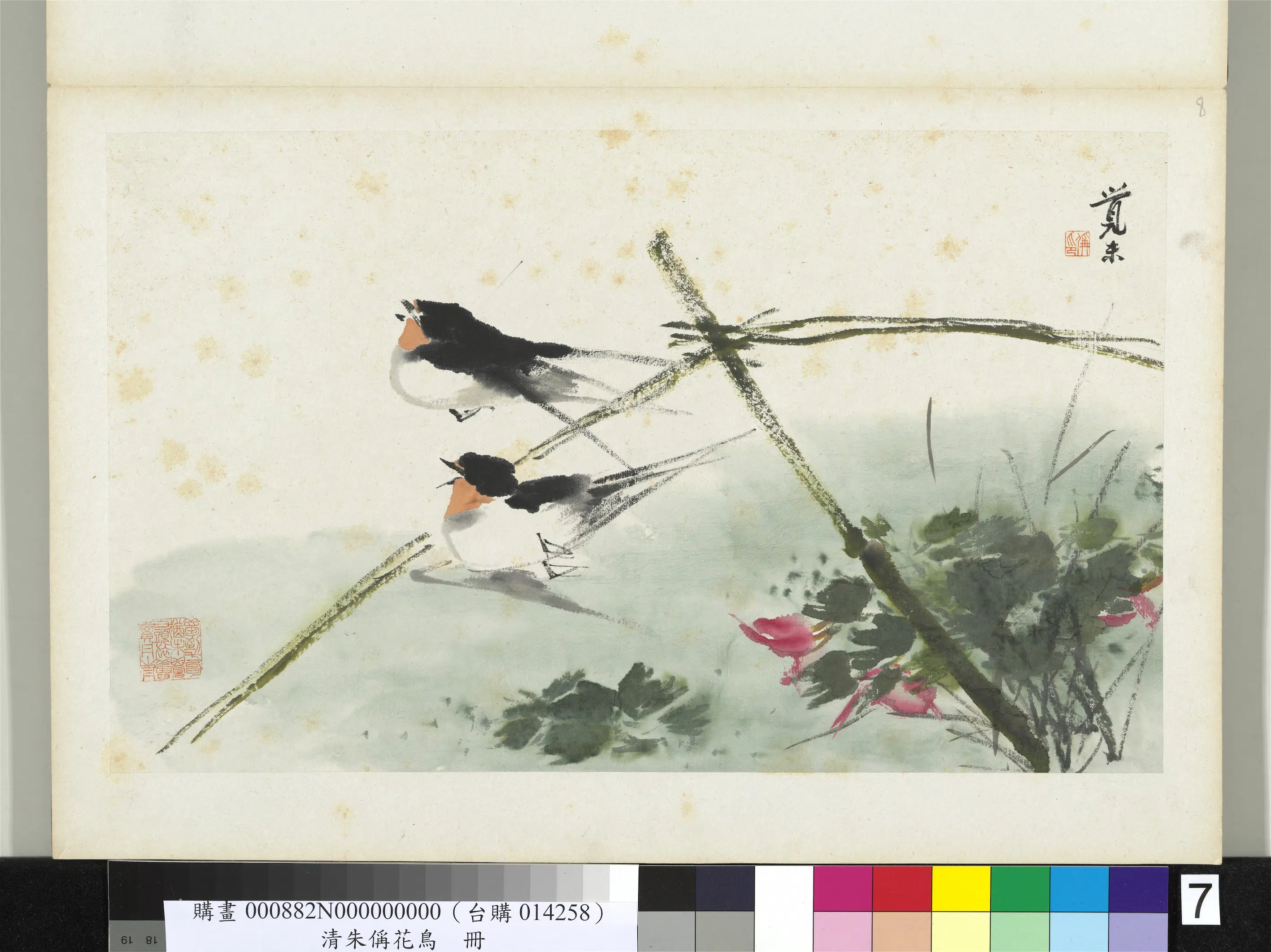 清代【朱偁】《花鸟册》 第12张