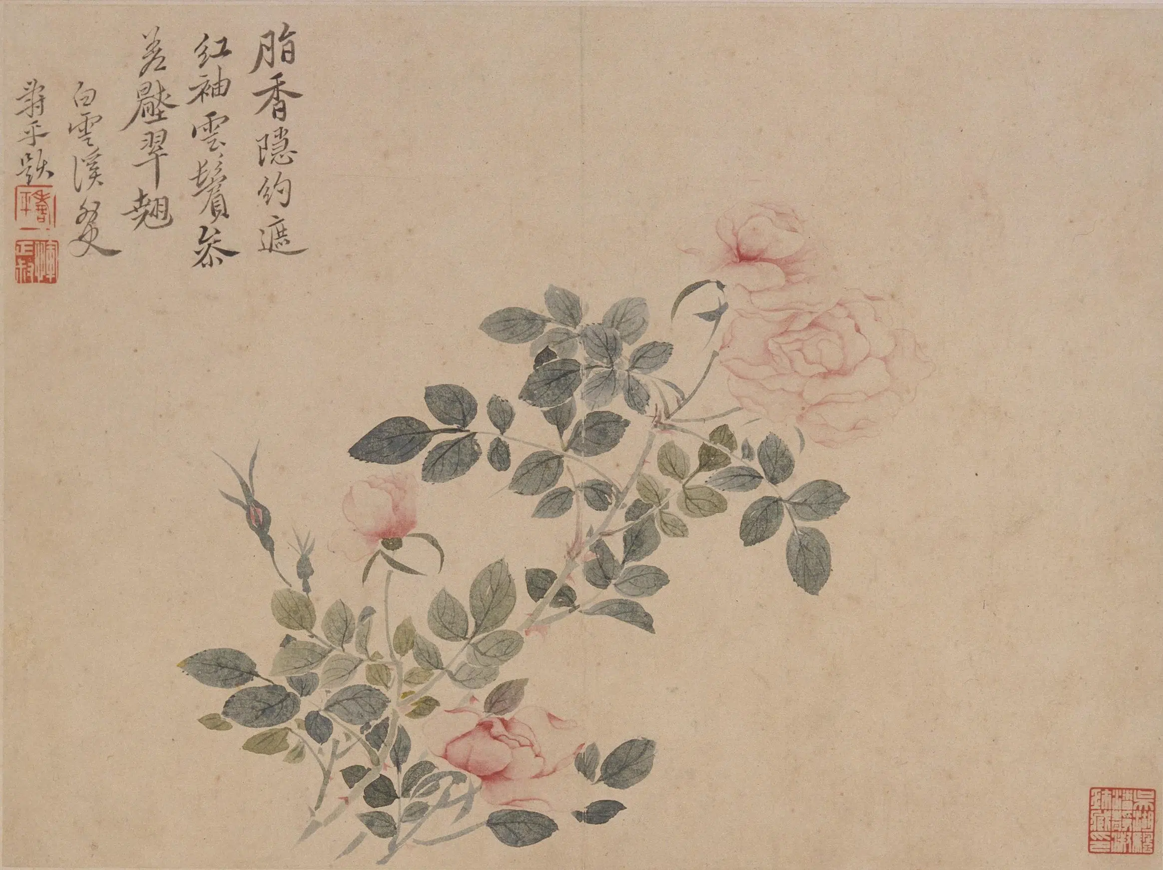 清代【恽寿平】《花卉册》 第8张 清代【恽寿平】《花卉册》 第8张