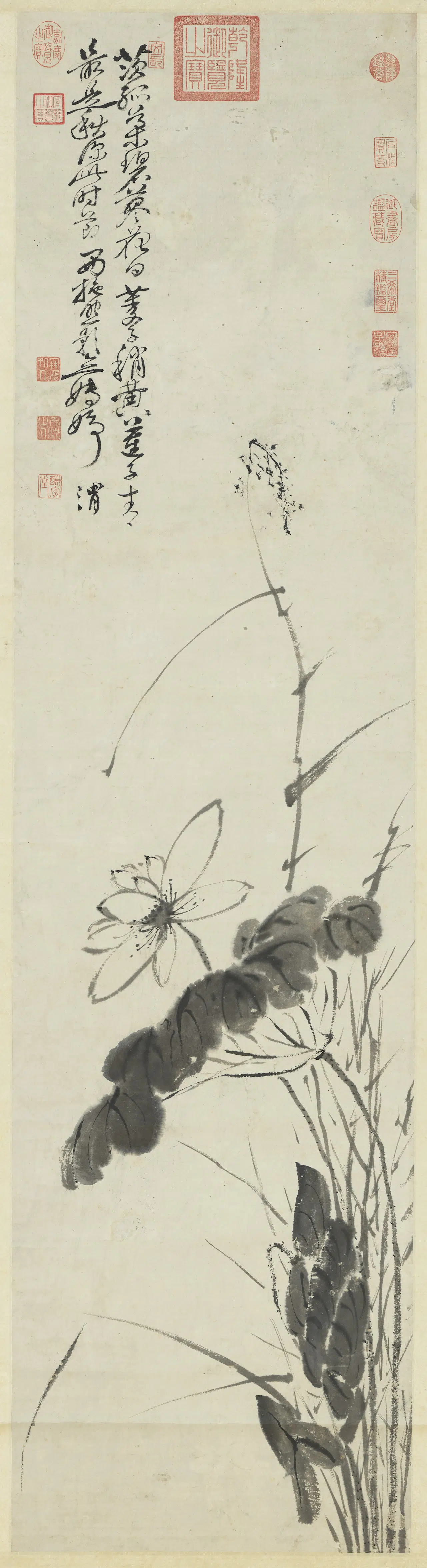 明朝【徐渭】《荷花图轴》