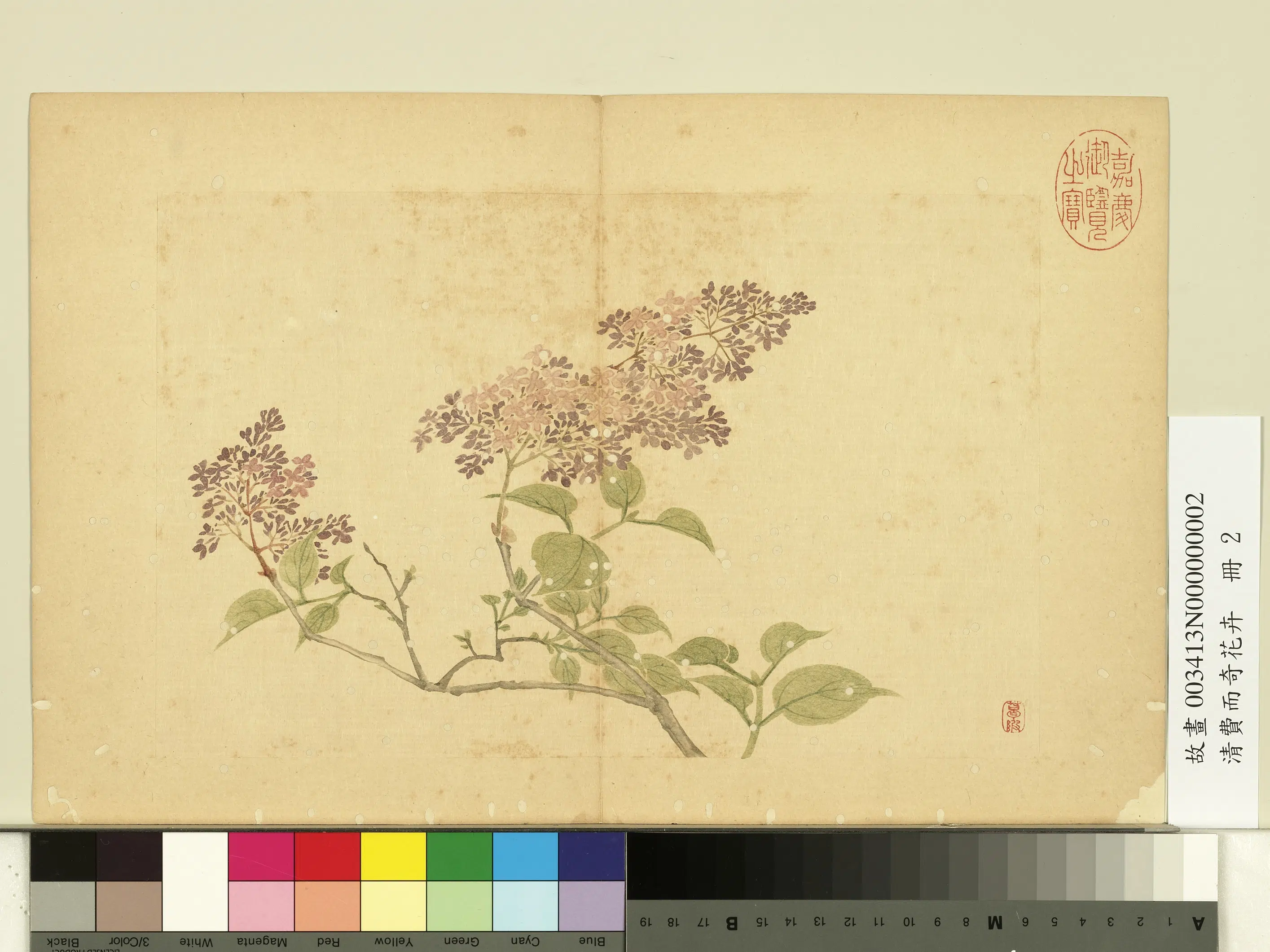 清代【费而奇】《花卉册》 第2张