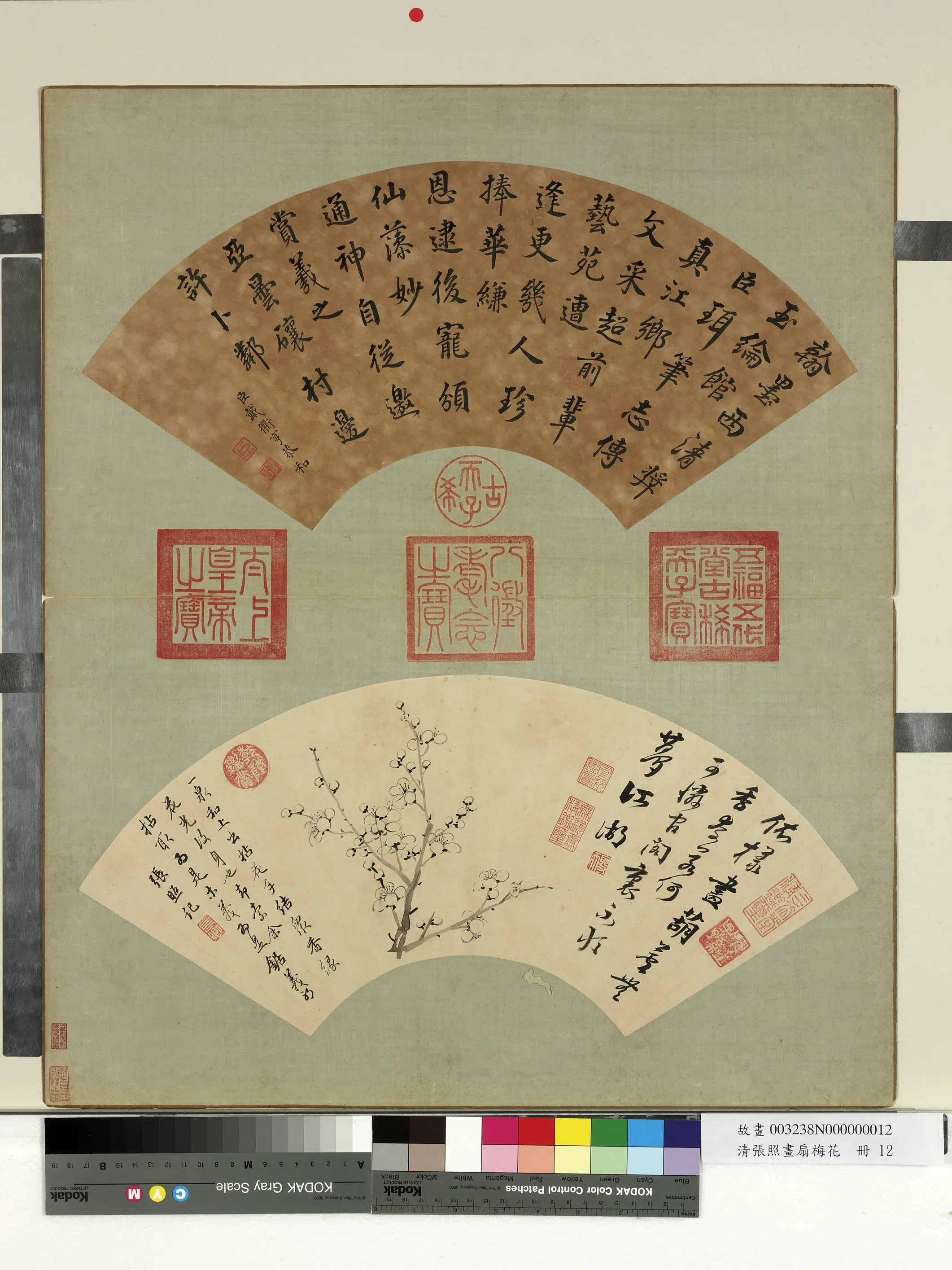 清代【张照】《画扇梅花册-梅花（十二）》