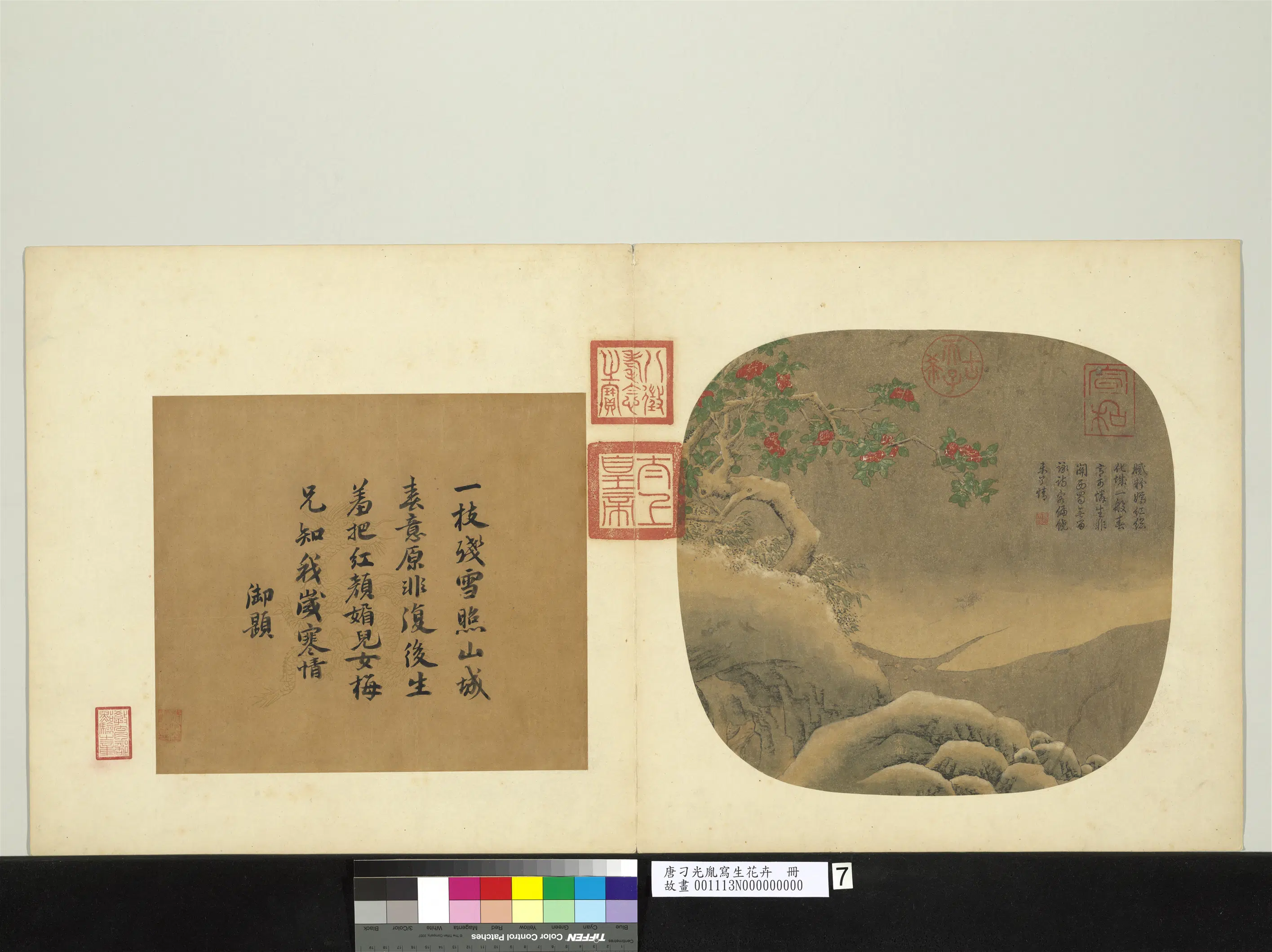唐朝【刁光胤】《写生花卉册》 第12张