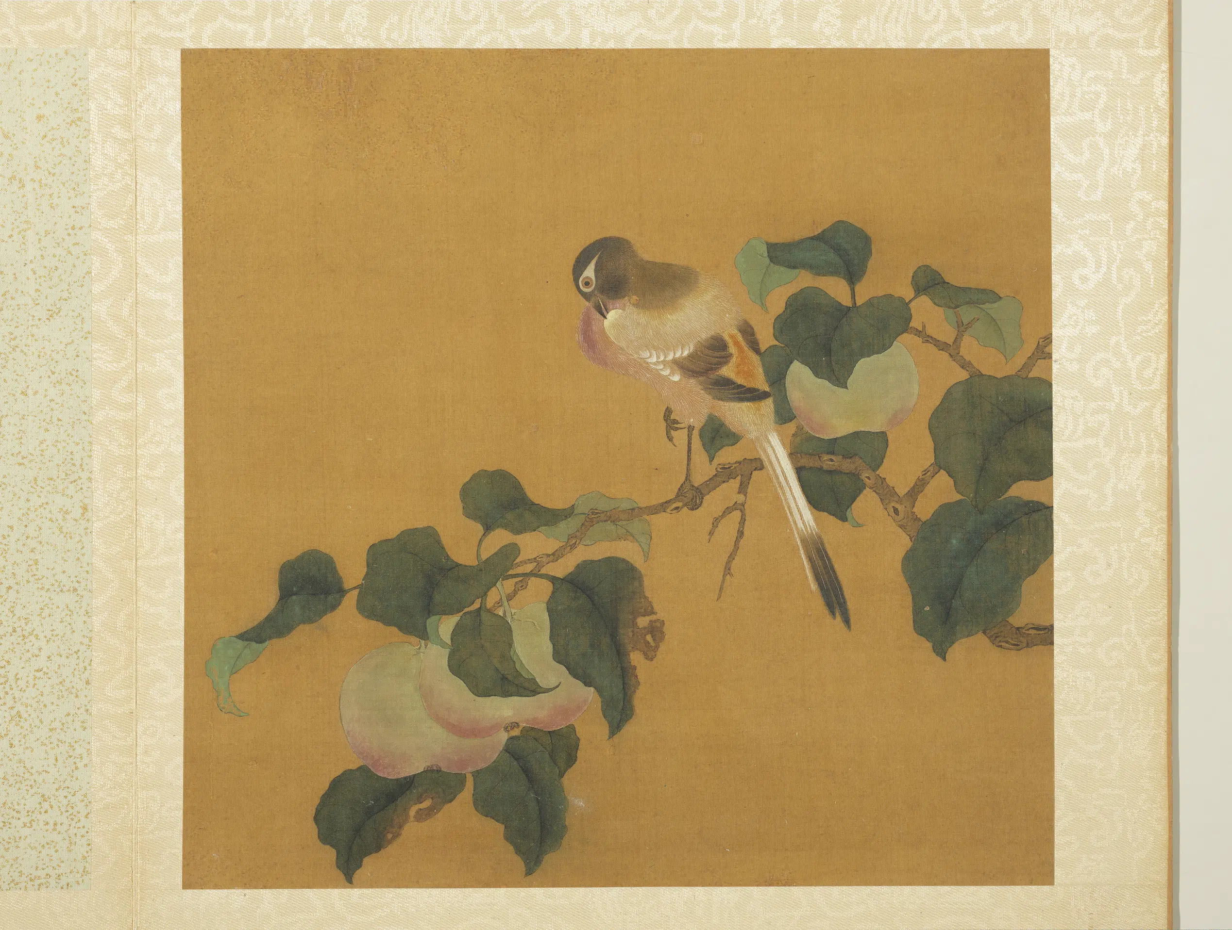 五代十国前后蜀【黄筌（荃）】《长春花鸟册》 第10张