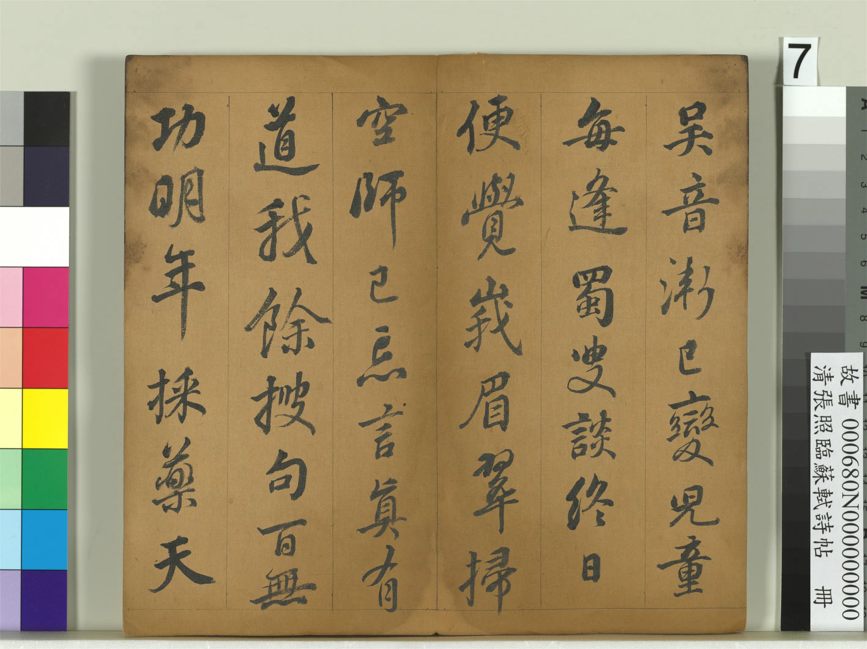 清代【张照】《临苏轼诗帖册》 第18张