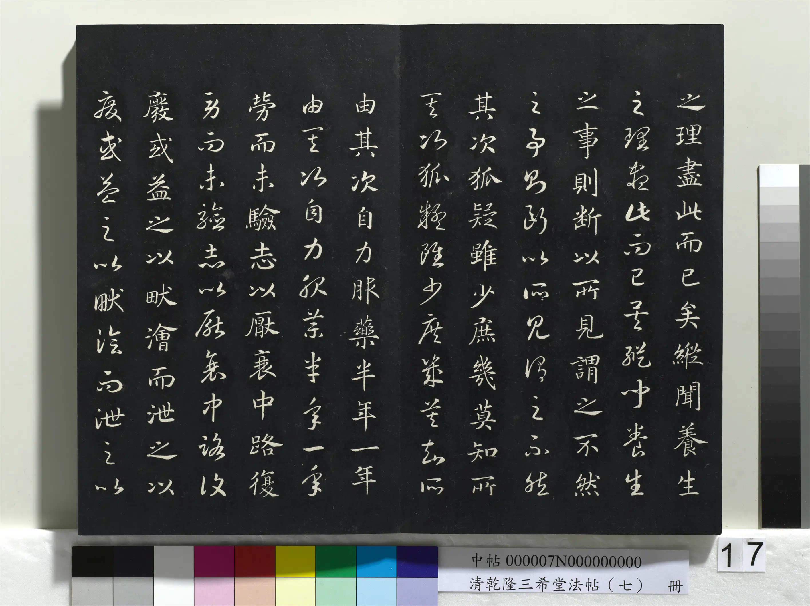 南宋【赵构-宋高宗】《乾隆三希堂法帖（七）册-宋高宗真草书嵇康养生论》 第7张