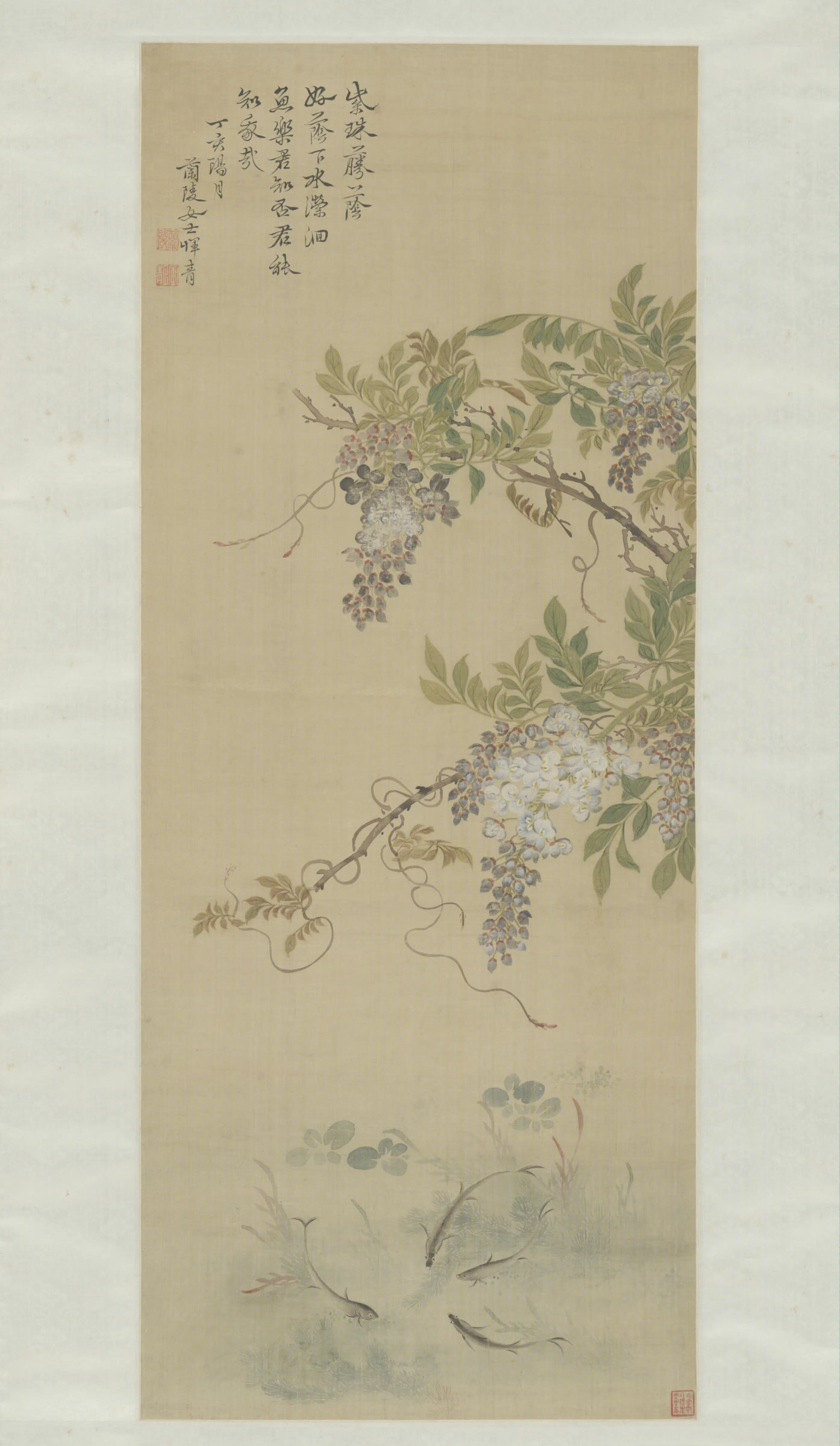 清代【恽青】《紫藤游鱼轴》 第1张 清代【恽青】《紫藤游鱼轴》 第1张