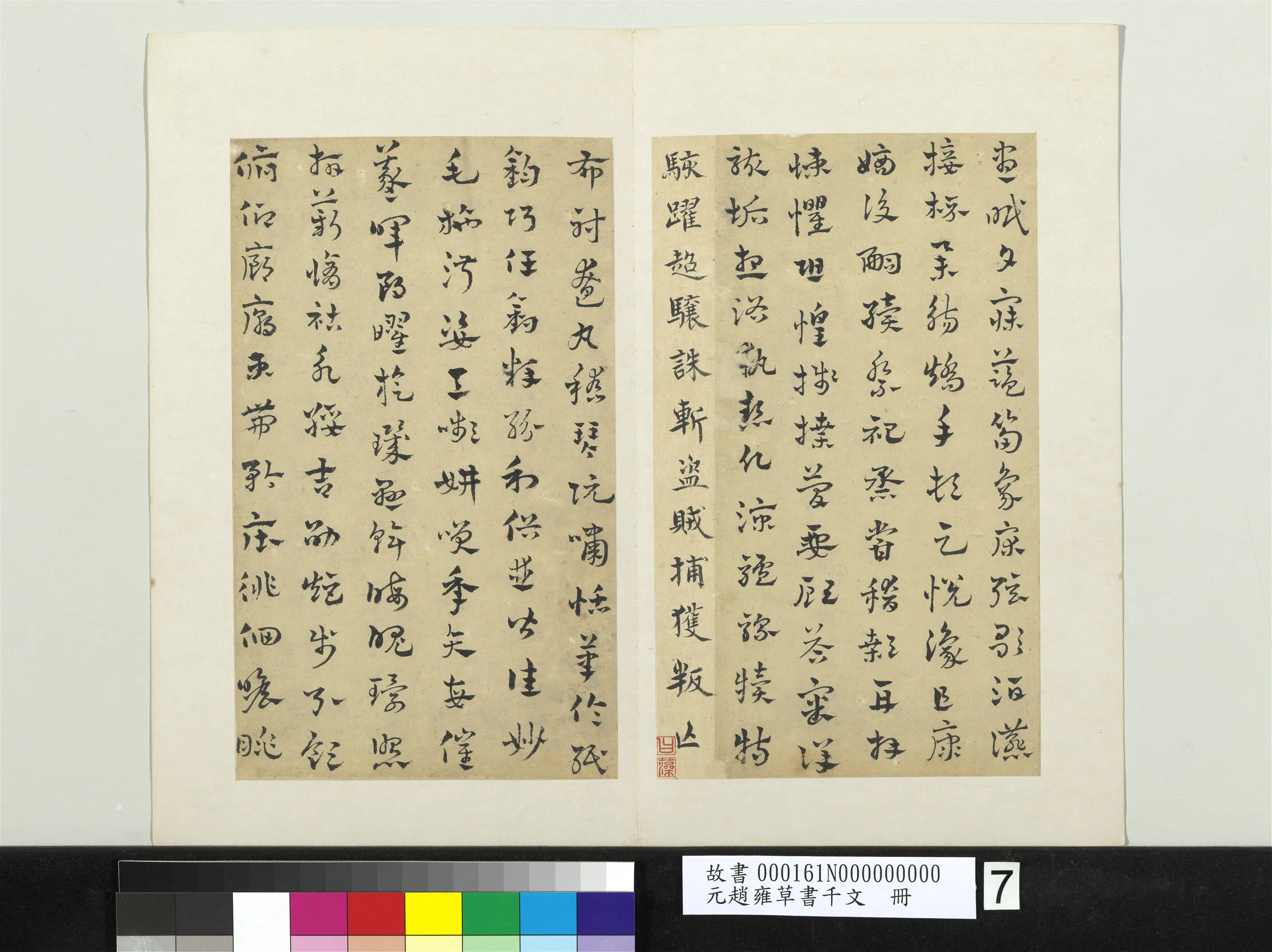 元朝【赵雍】《草书千文册》 第7张 元朝【赵雍】《草书千文册》 第7张
