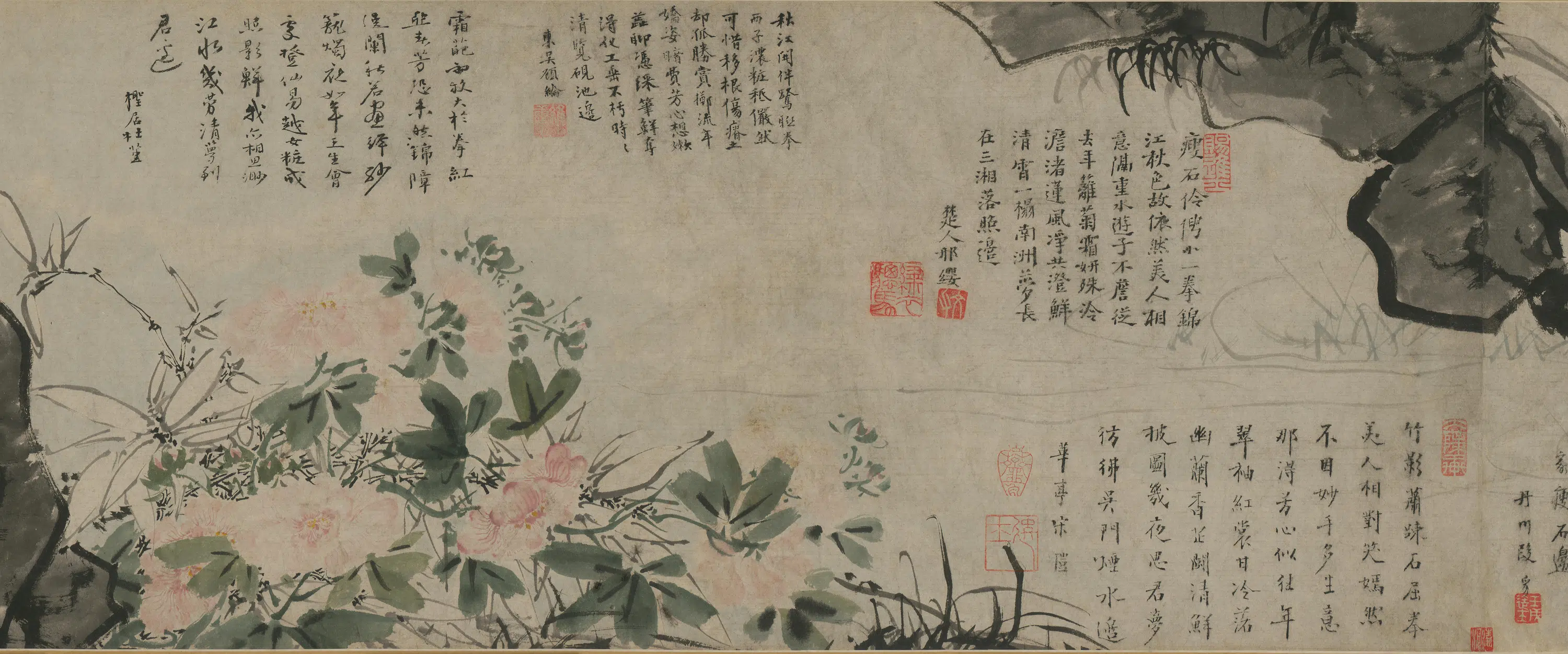 明朝【徐霖】《花卉泉石卷》 第5张