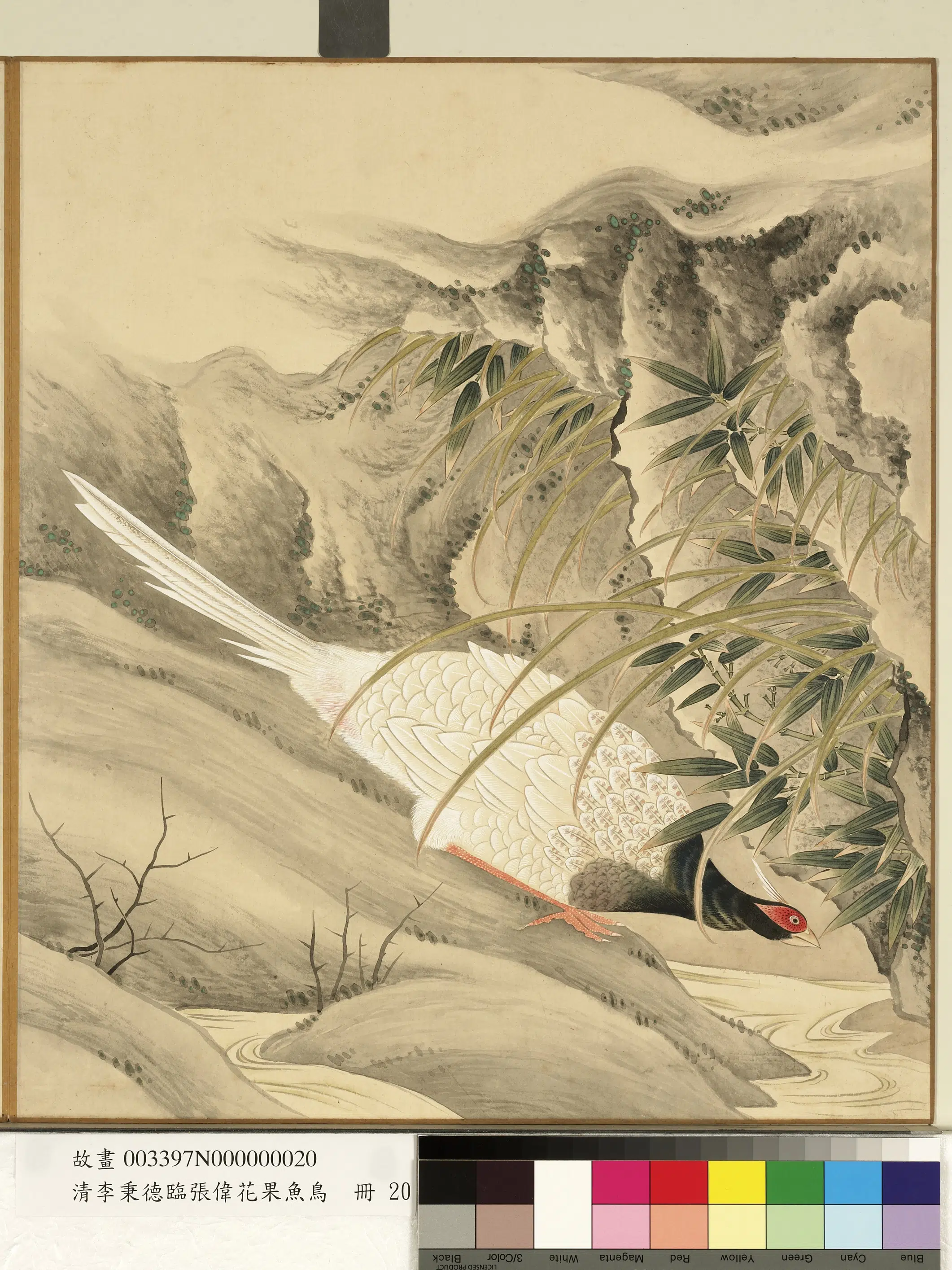 清代【李秉德】《临张伟花果鱼鸟册-竹石山鸡》