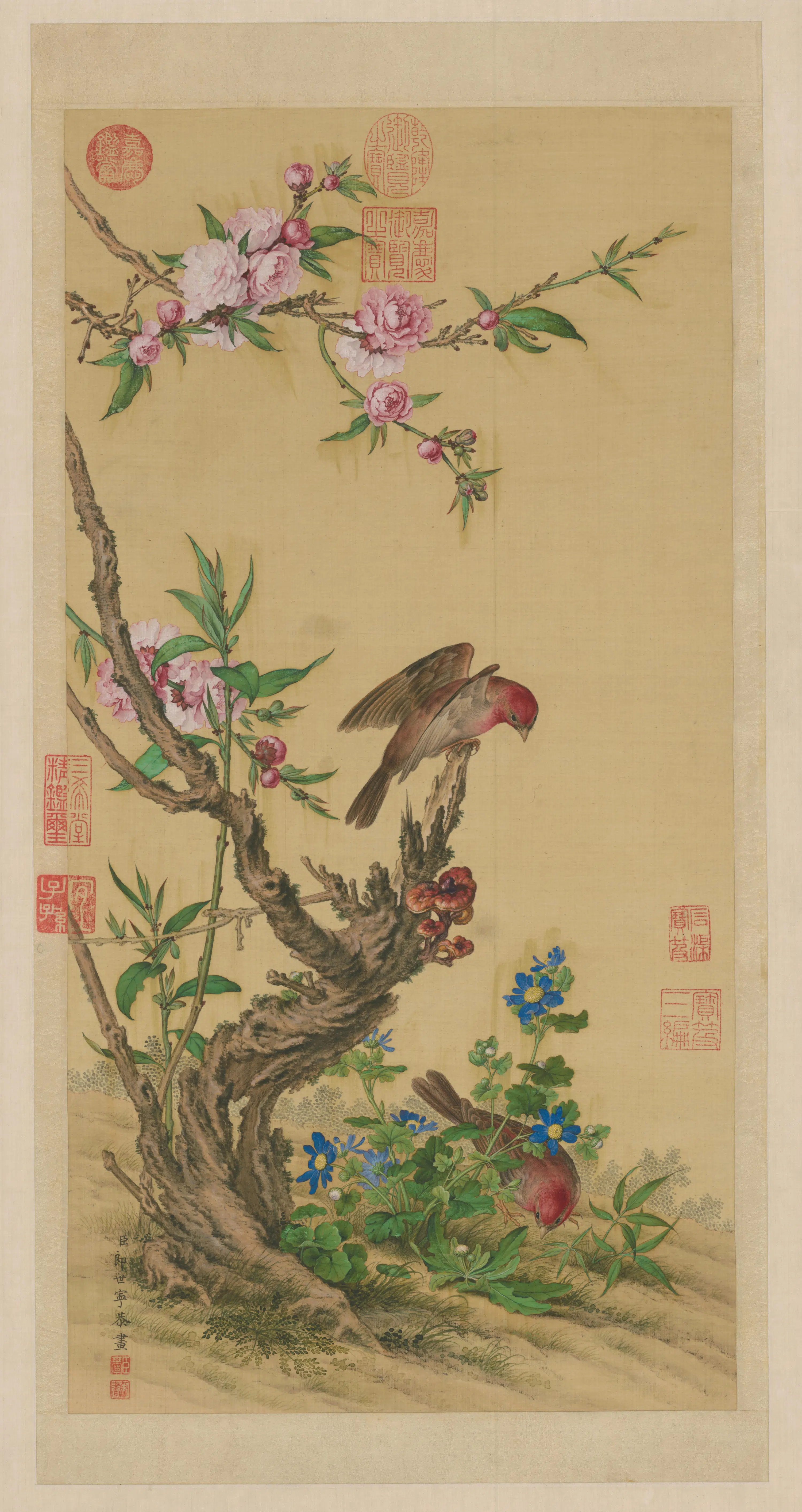 清代【郎世宁】《花鸟图轴》
