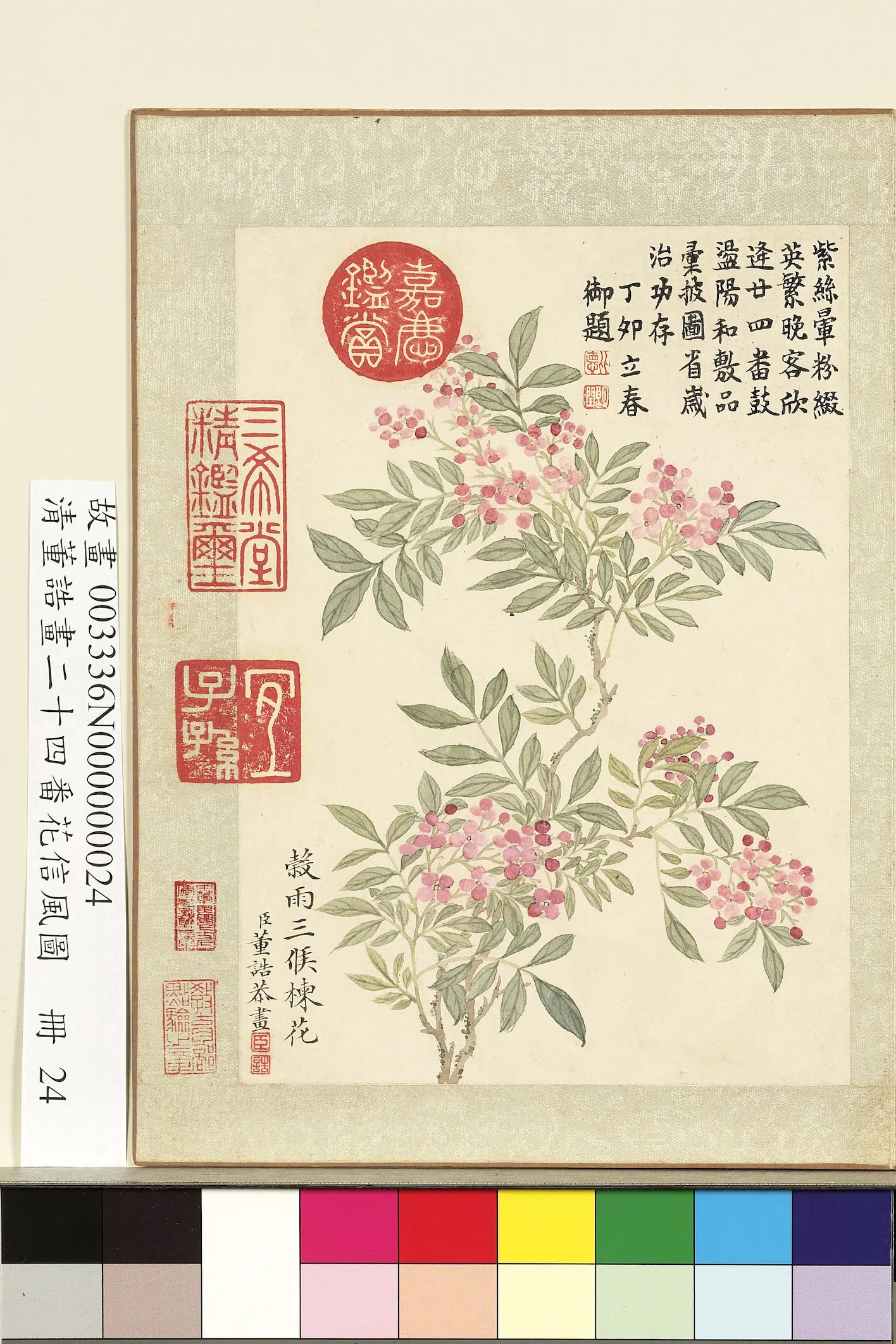 清代【董诰】《画二十四番花信风图册-谷雨三候楝花》 第1张 清代【董诰】《画二十四番花信风图册-谷雨三候楝花》 第1张